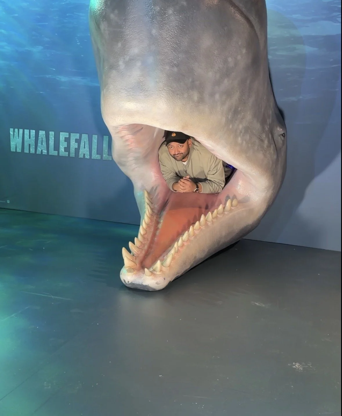 IMG_3375 (1).PNG