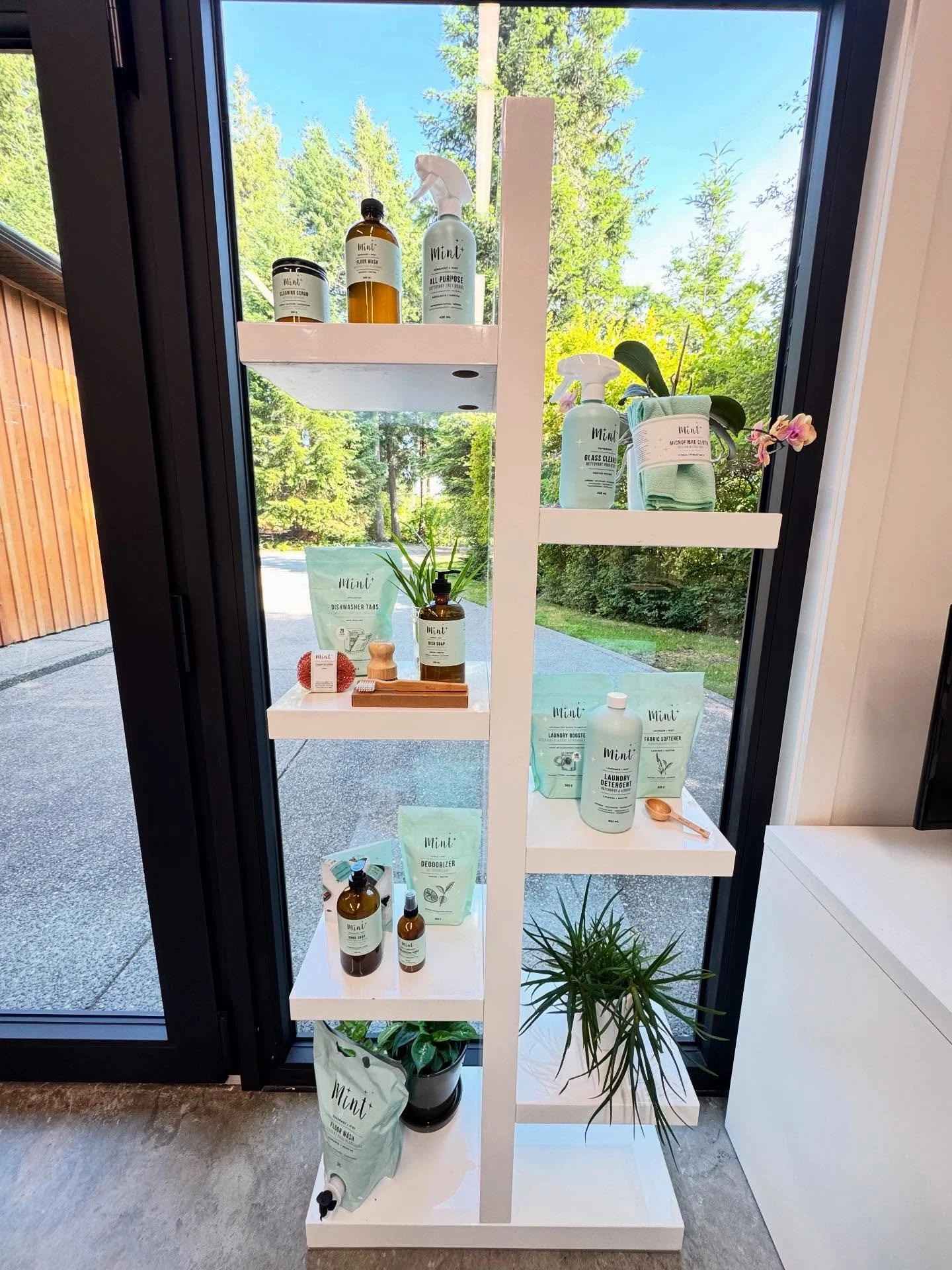 Mint ✨ My New Go-To for a Sparkling Clean Home + Office &hellip; really anything needing a Clean ! 

A while back, I was chatting with a friend who couldn&rsquo;t stop raving about a floor cleaner shed discovered.  Like me, she&rsquo;s all about that