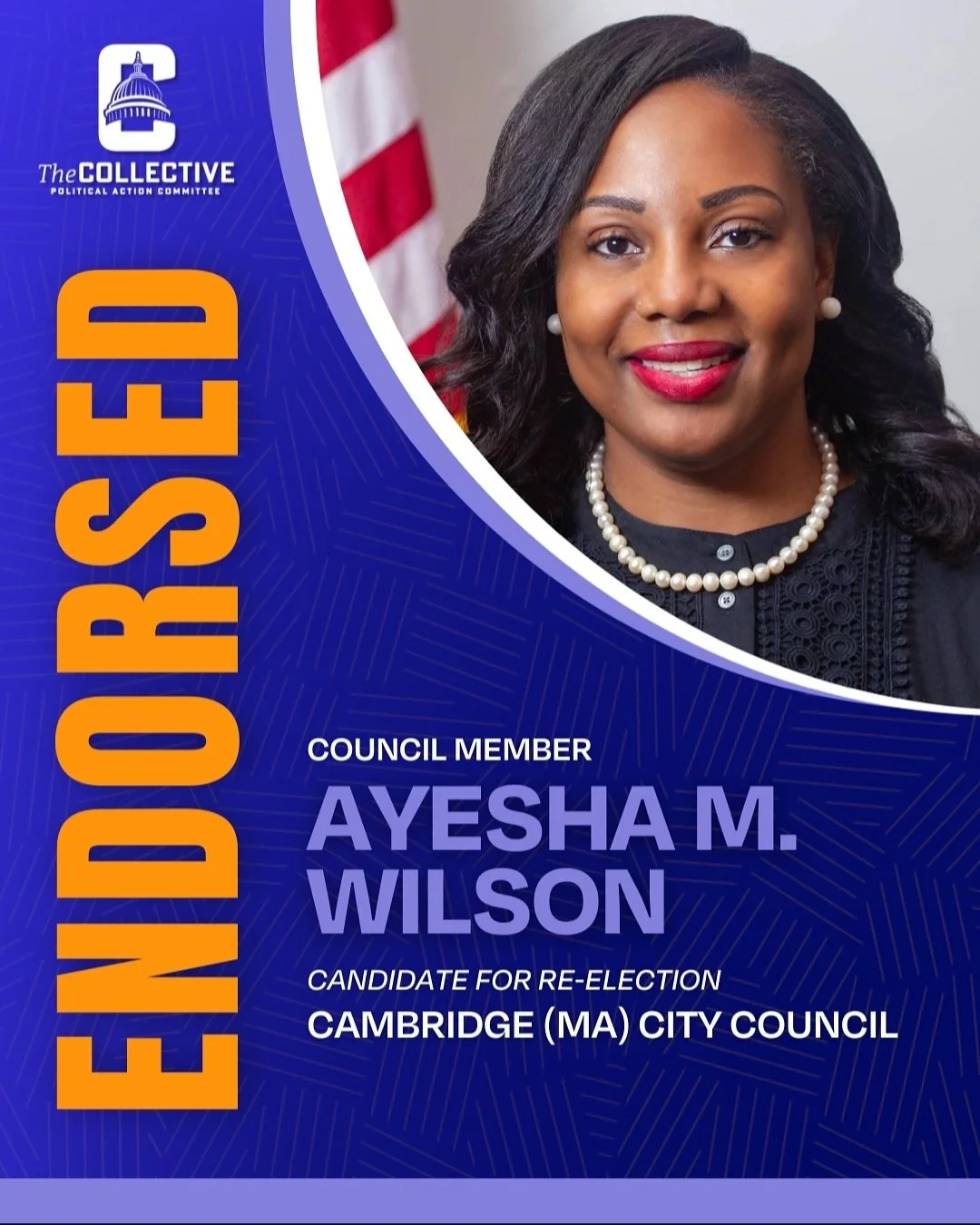 The Collective PAC Graphic.JPG