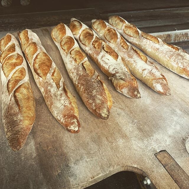 Appealing Baguettes? Coming back to Whole Foods and Central Coop tomorrow.
Open in Ballard Wednesday-Sunday 9am-4pm call us for preorder
