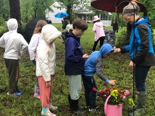 flowers on the grave
