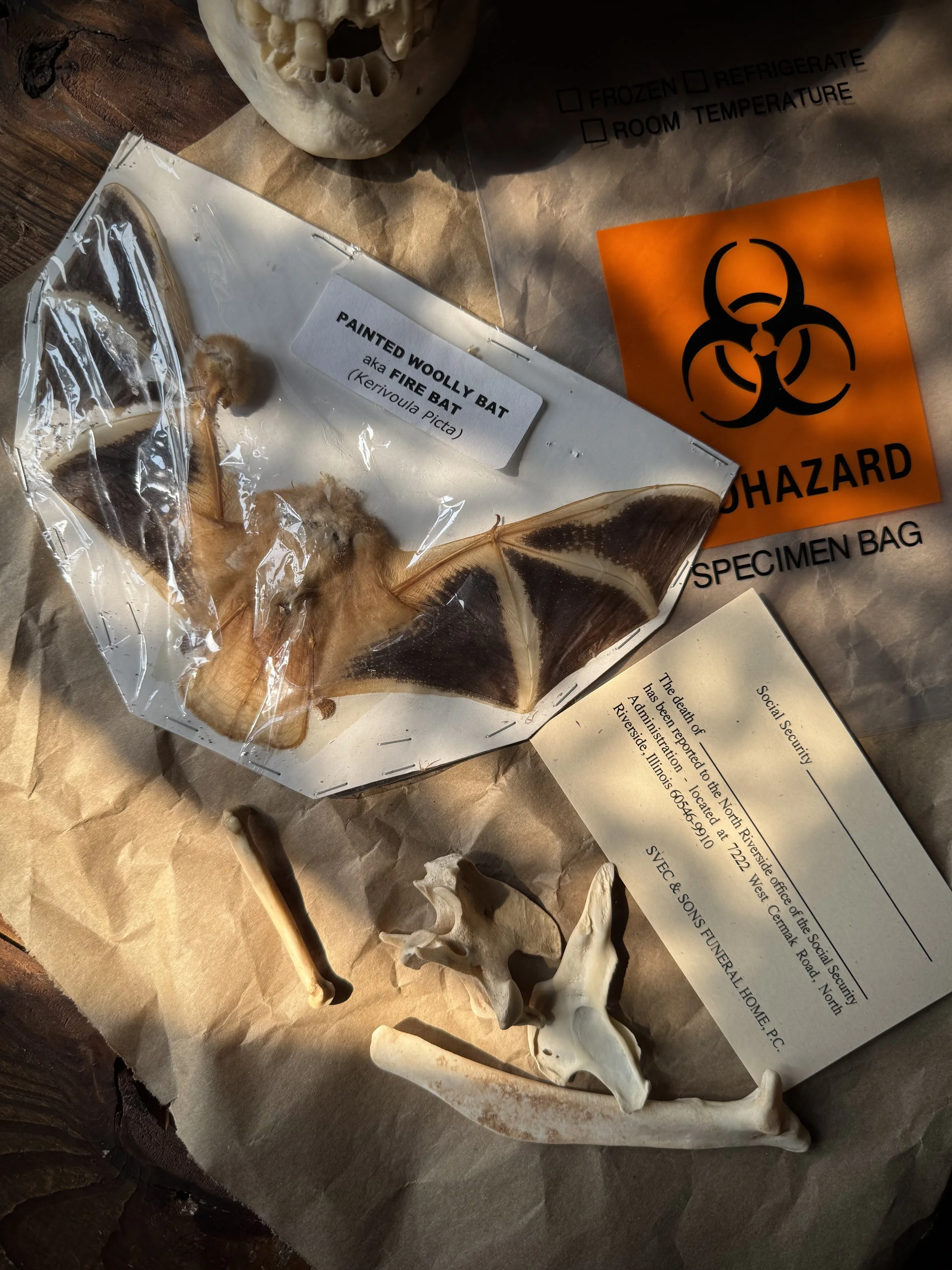 Oddities Mystery Bag