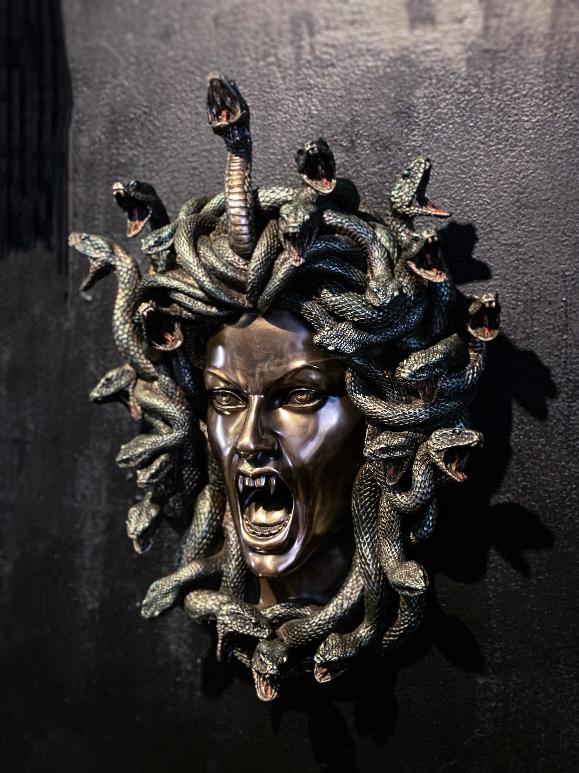 Medusa Wall Sculpture