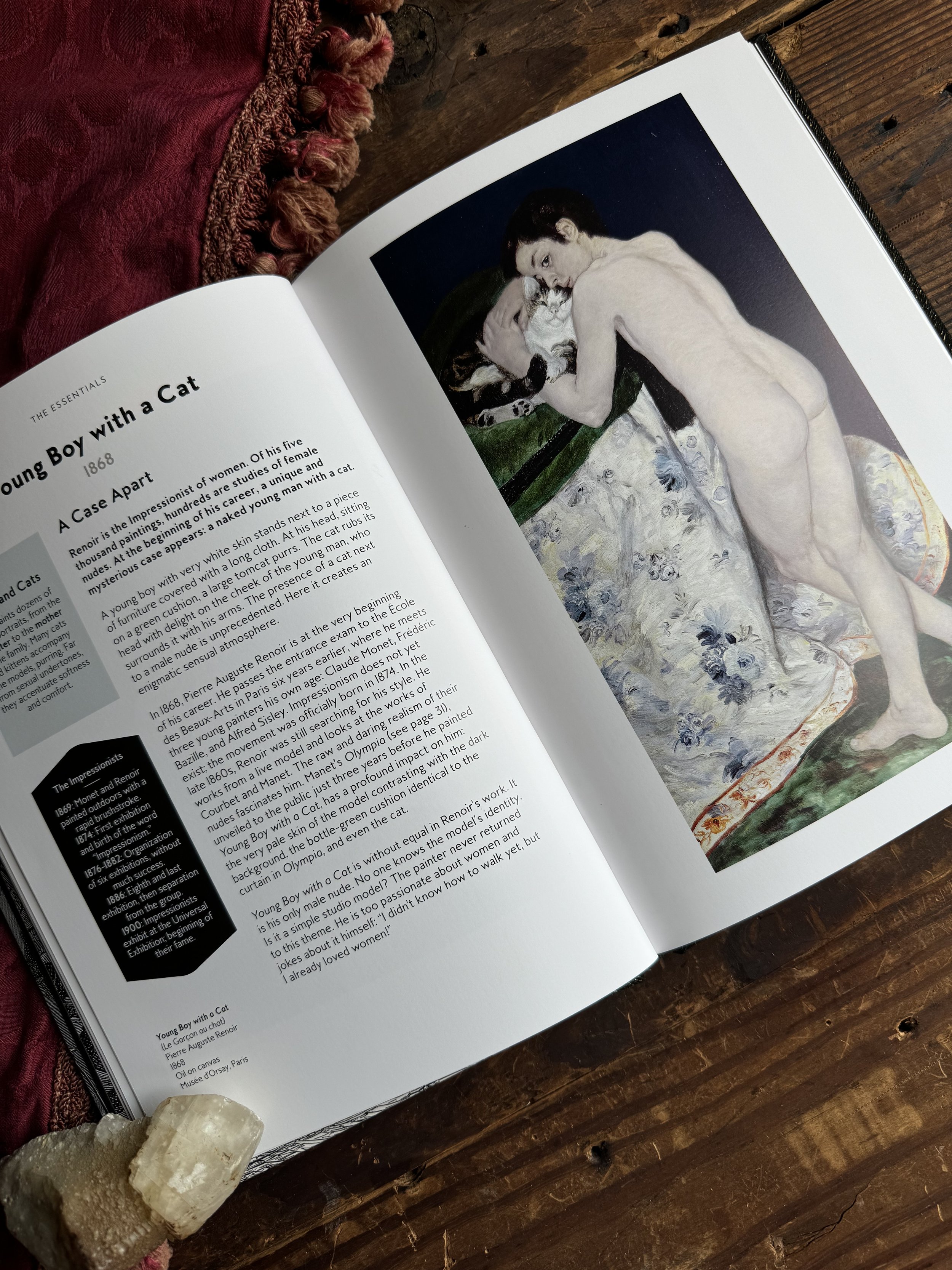 Cats in Art book