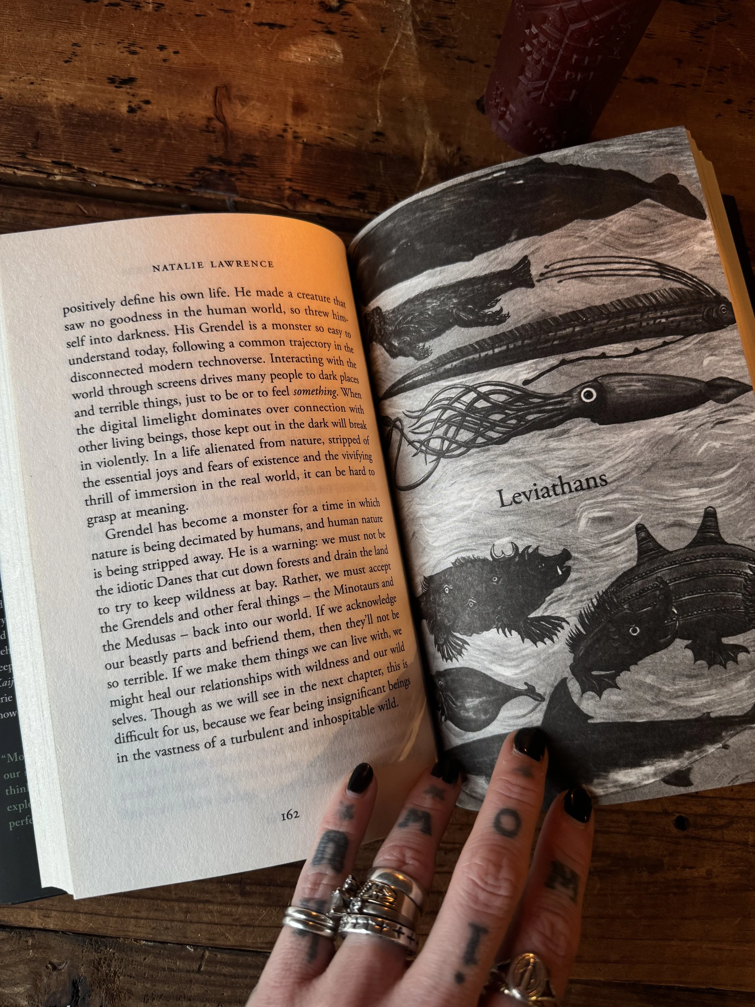 enchanted creatures by natalie lawrence