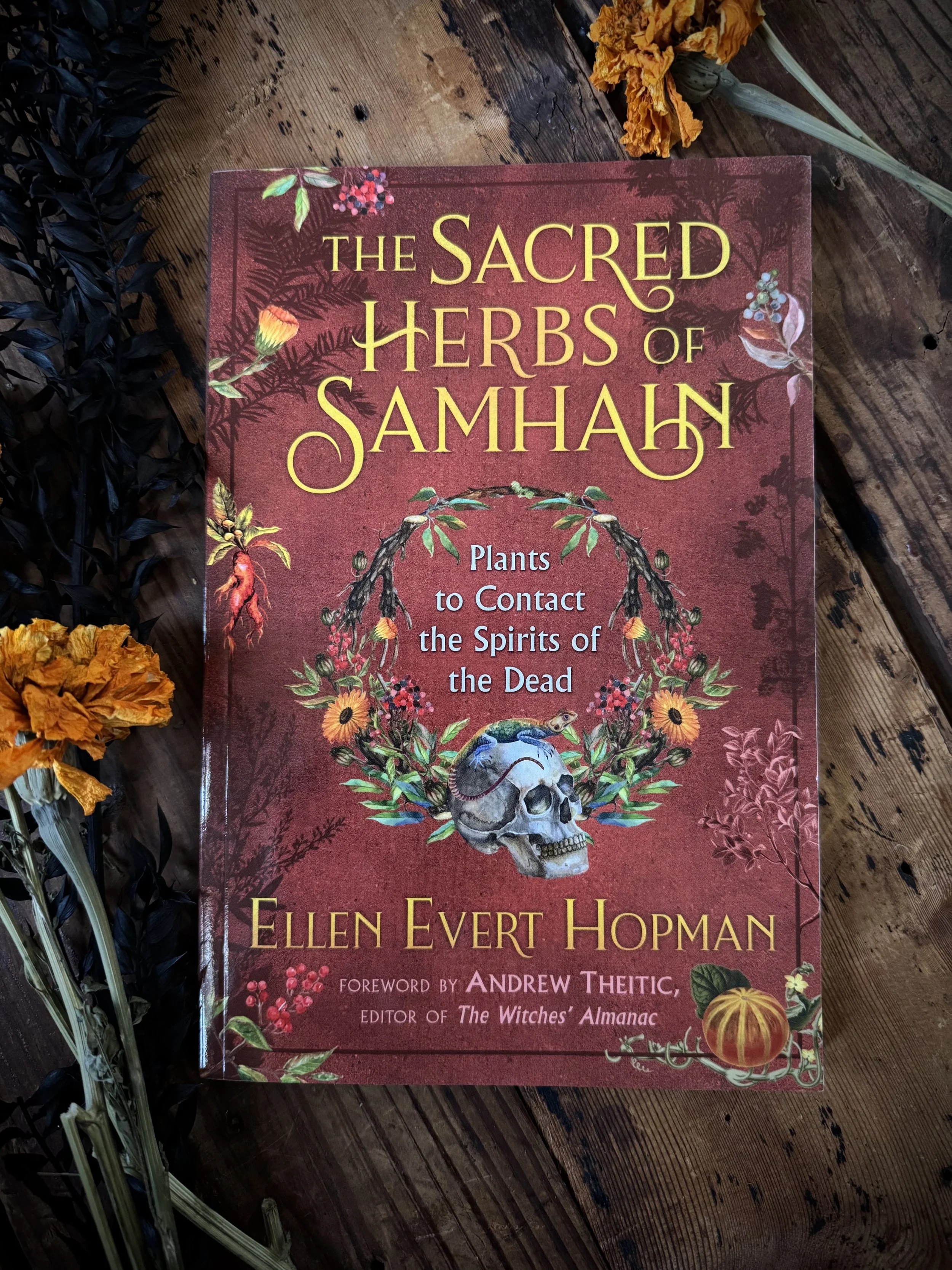 the sacred herbs of samhain: herbs to contact the spirits of the dead