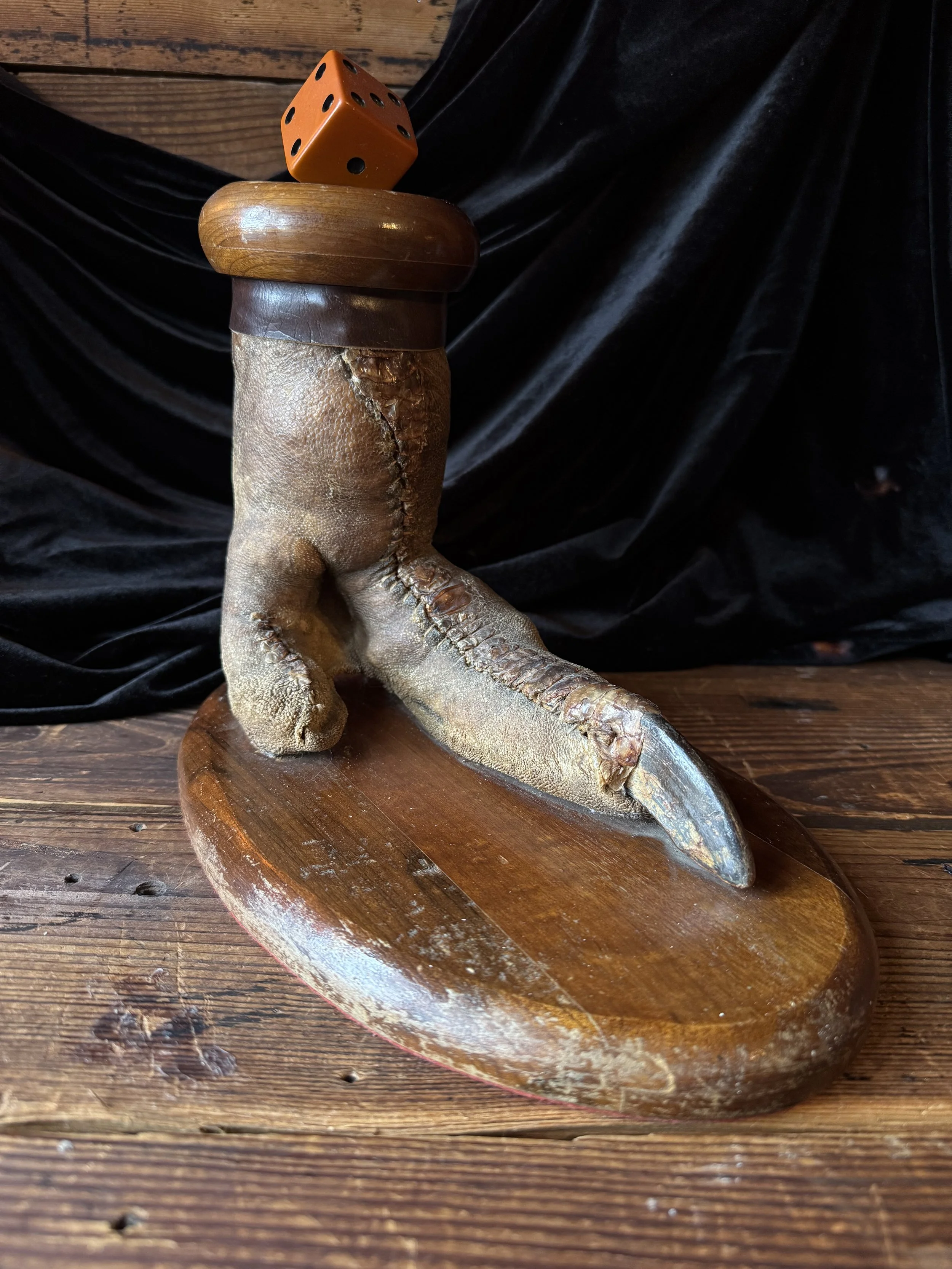 antique taxidermied ostrich paw with an orange dice atop the wooden capped foot