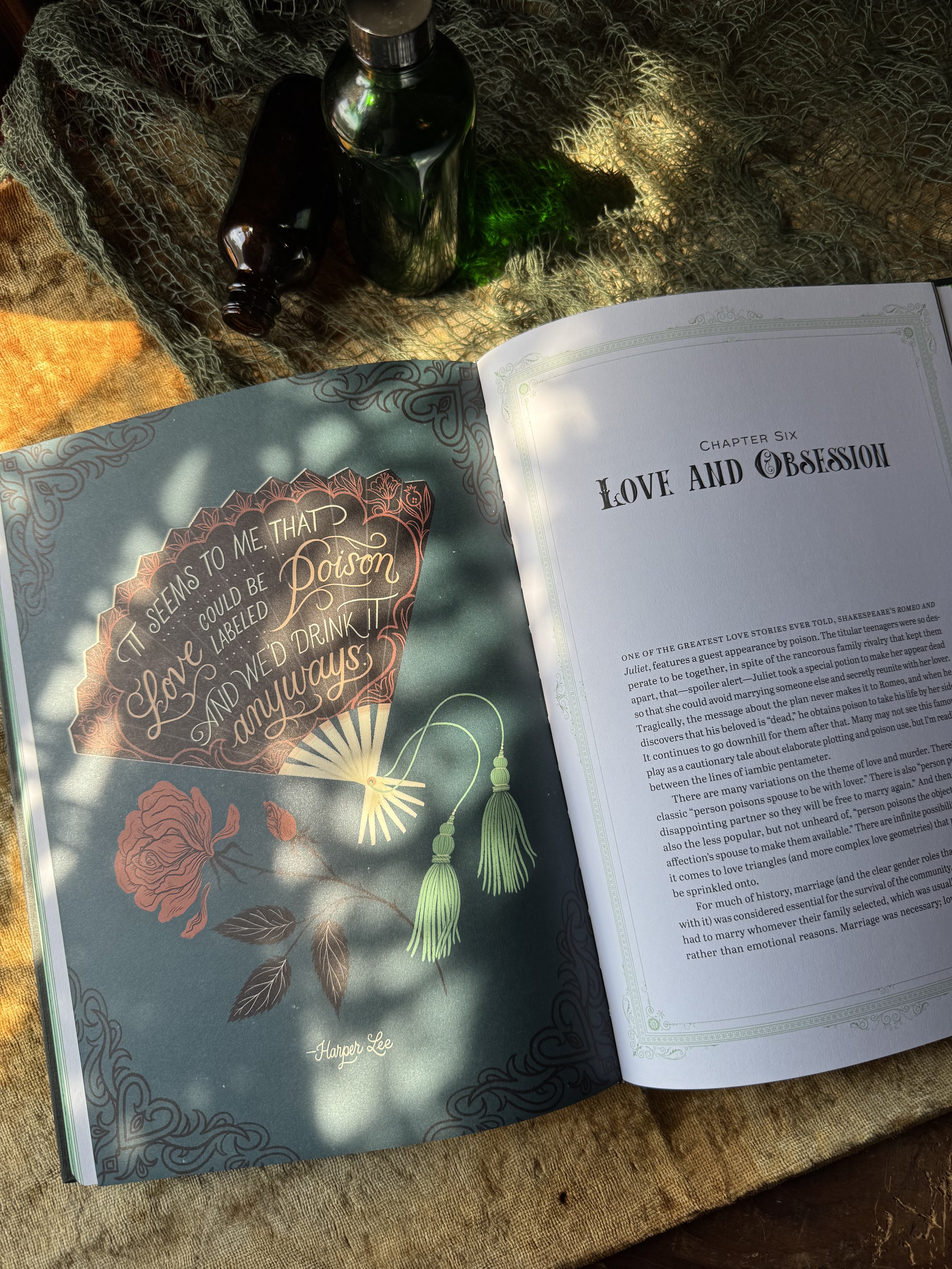 The League of Lady Poisoners, an illustrated, historical telling of the wild women throughout history.