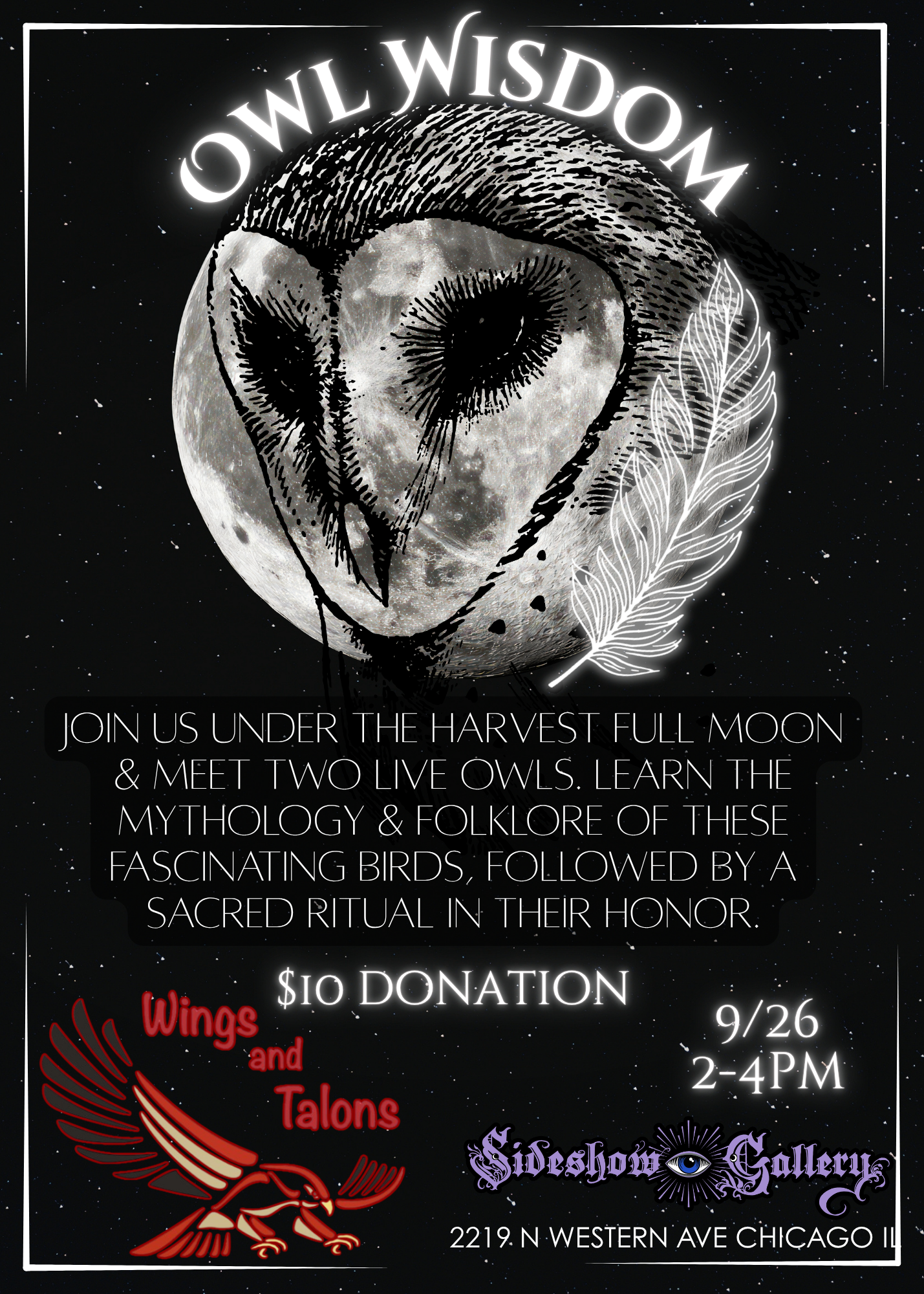 Owl Flyer.png