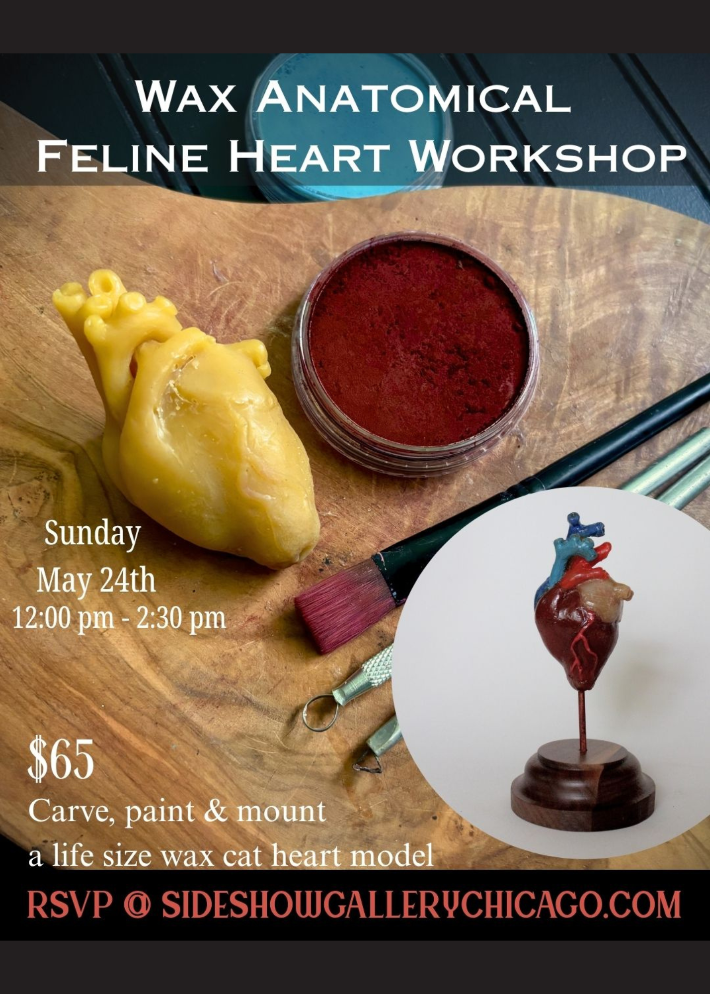 Wax Sculpting Anatomical Feline Heart Workshop