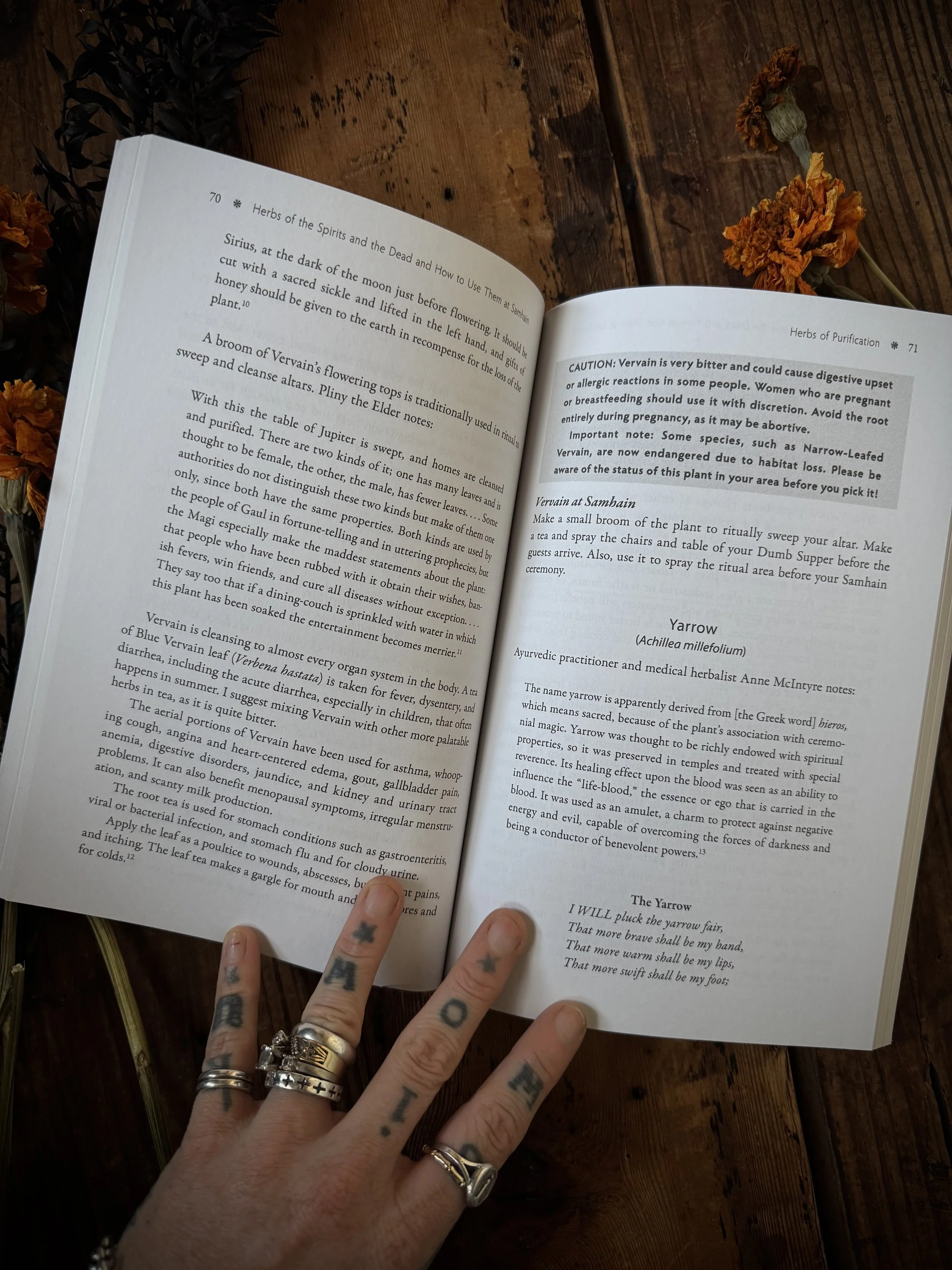 the sacred herbs of samhain: herbs to contact the spirits of the dead
