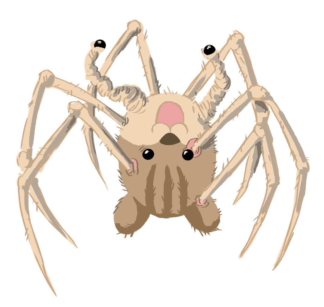 critter.png