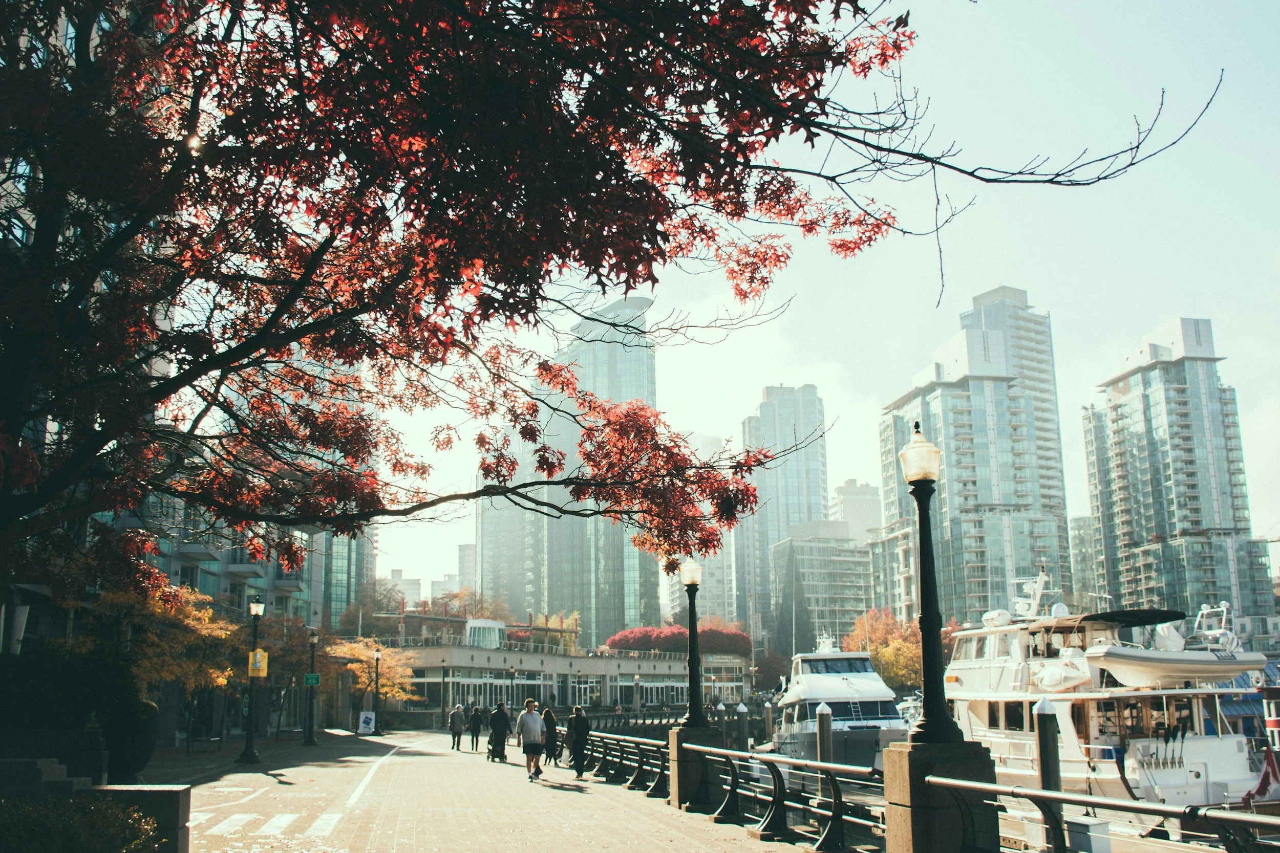 unsplash-image-waJuWqE1AYE.jpg