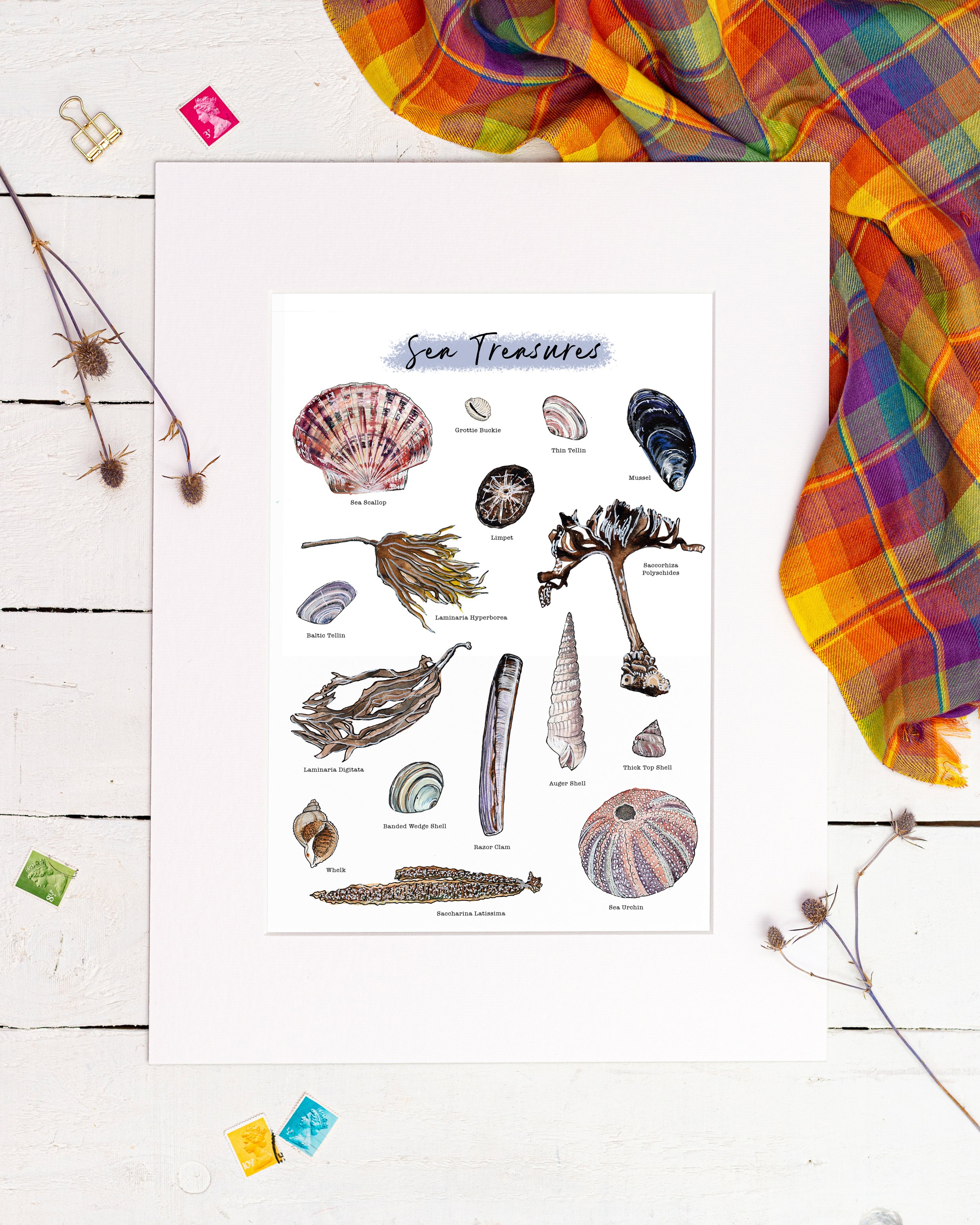 Sea Treasures.jpg
