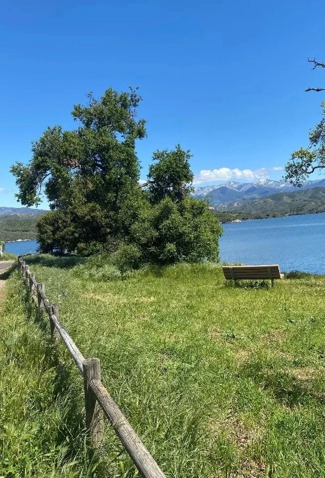 Spring 2024 Newsletter on Substack