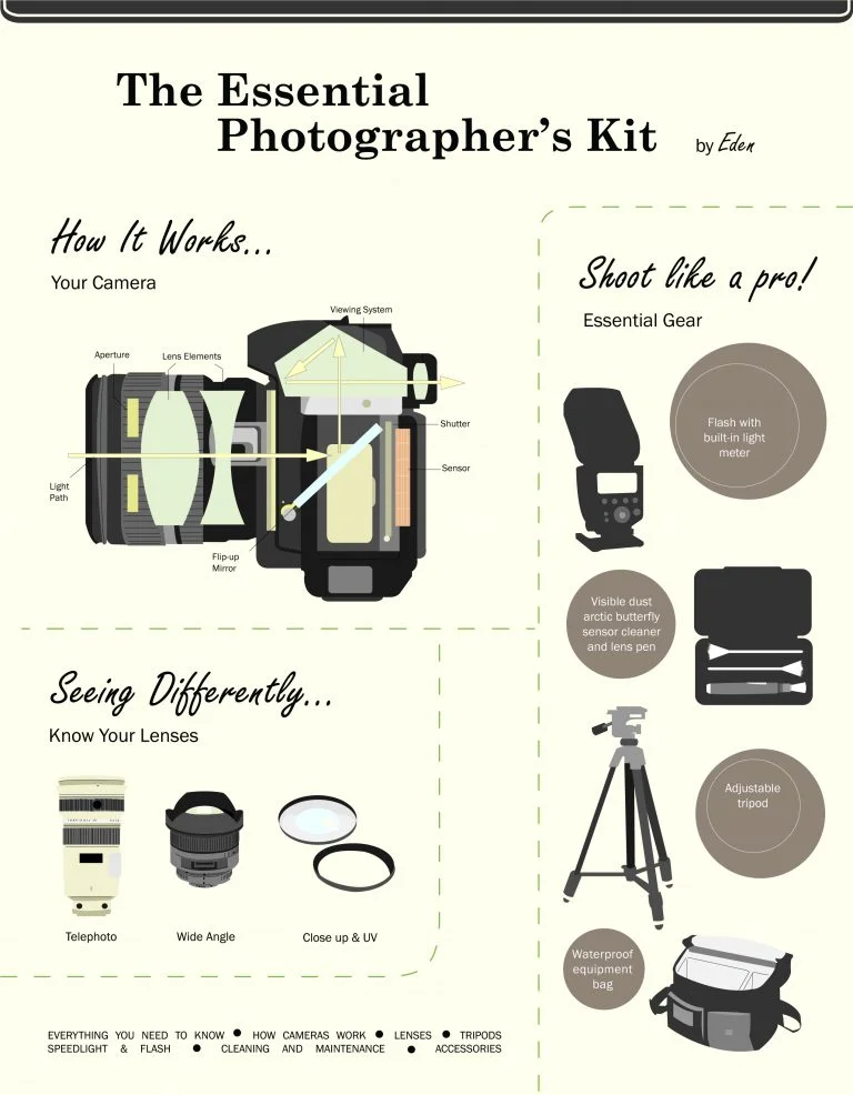Anatomy of a camera vector