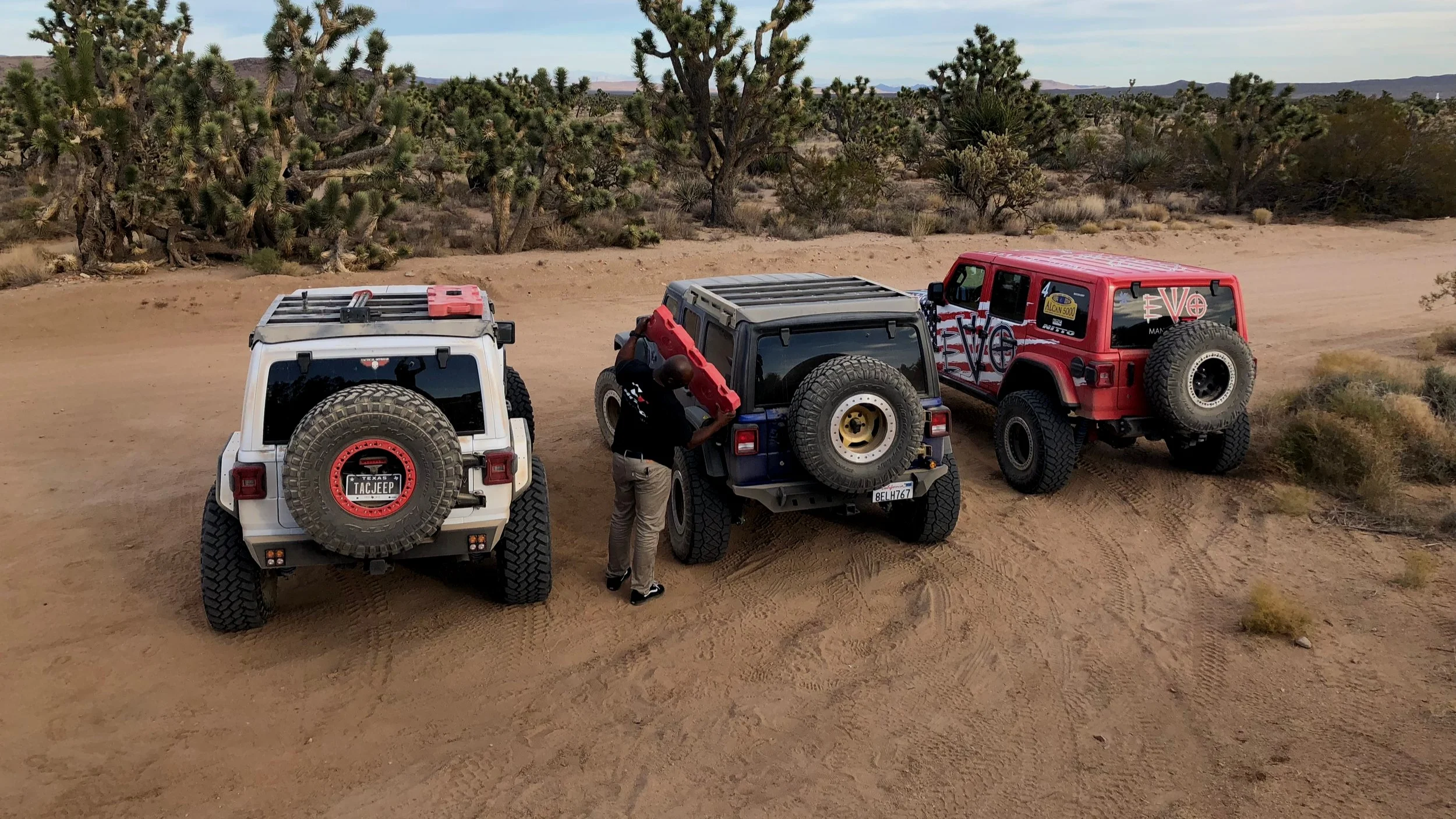 TOR_jeeps_on_adventure.jpg