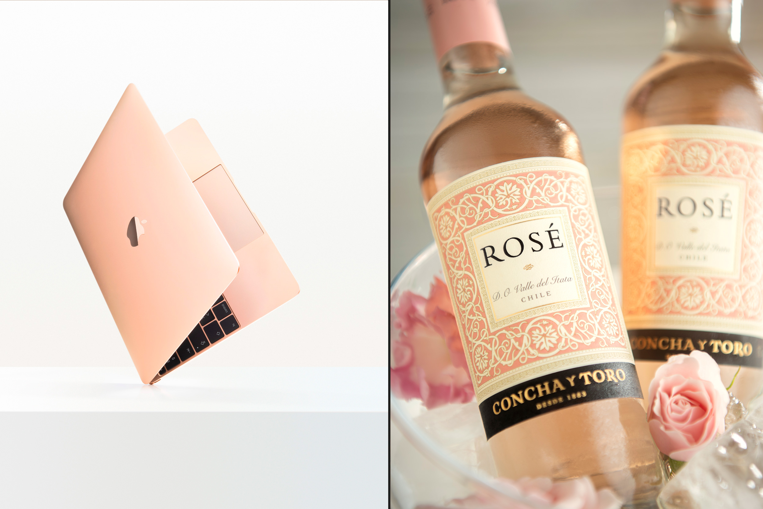 diestro-studio_macbook_concha-y-toro_rose.jpg