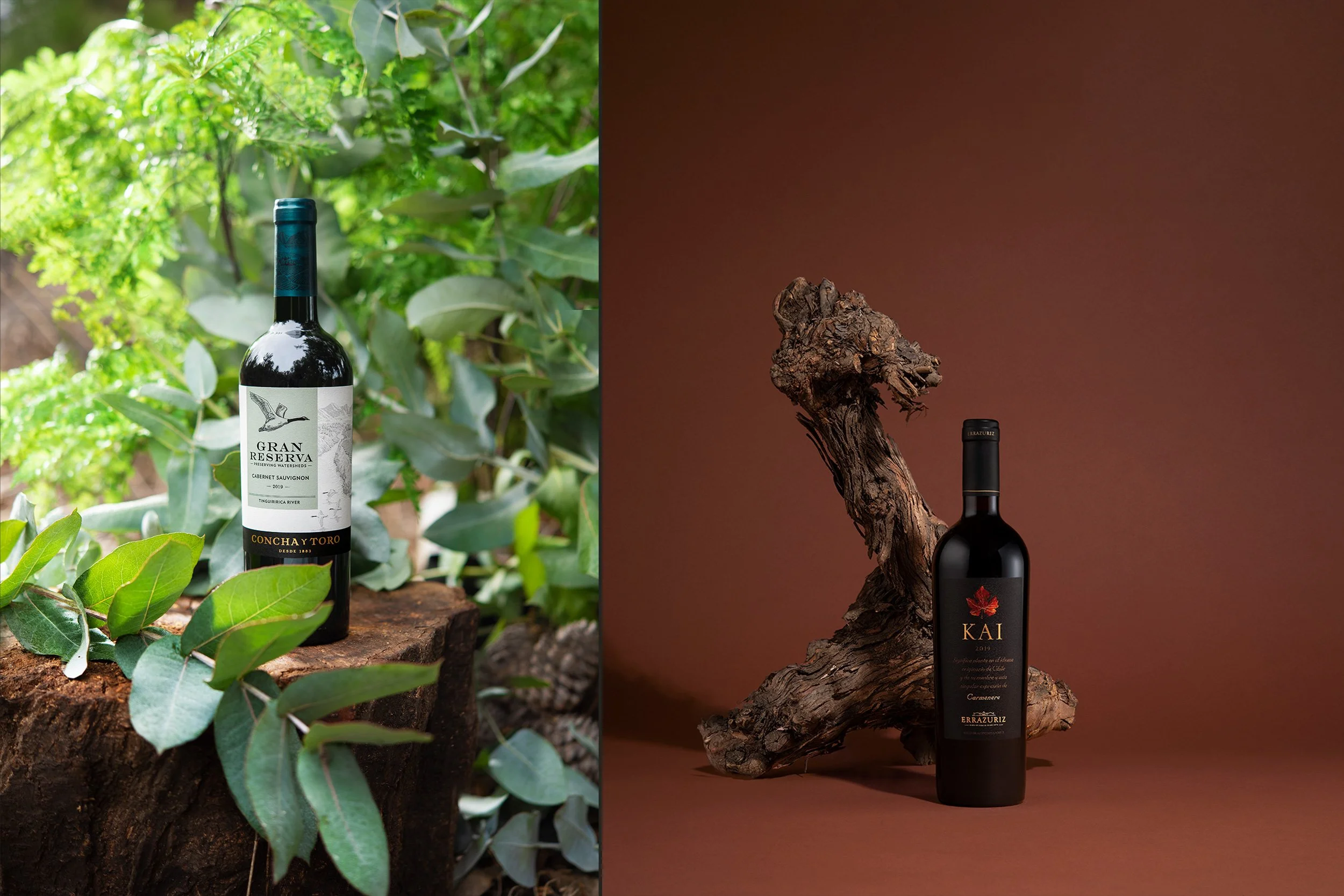 diestro_studio_diego_agurto_gran_reserva_concha_y_toro_errazuriz_kai.jpg