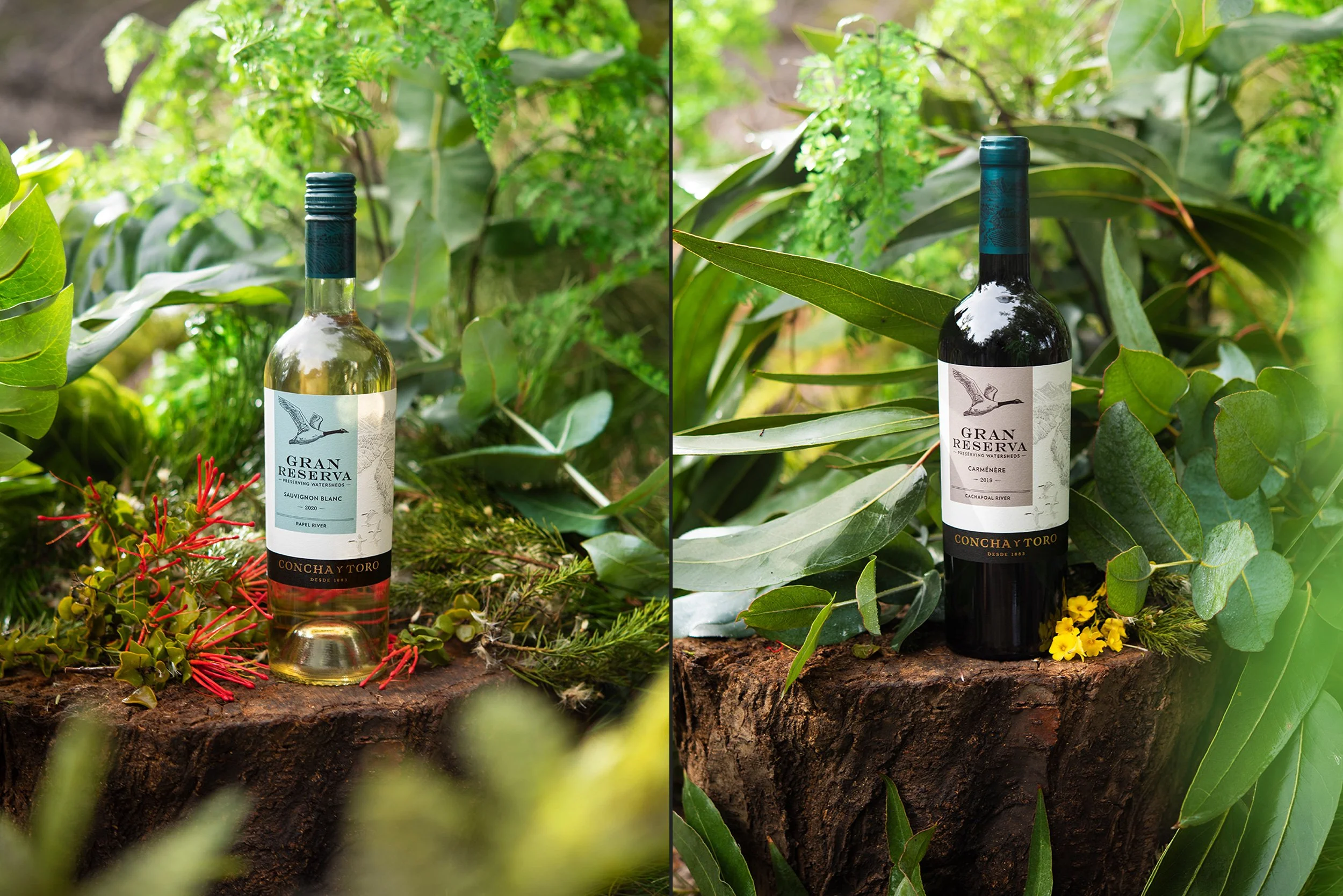 diestro_studio_diego_agurto_gran_reserva_concha_y_toro.jpg