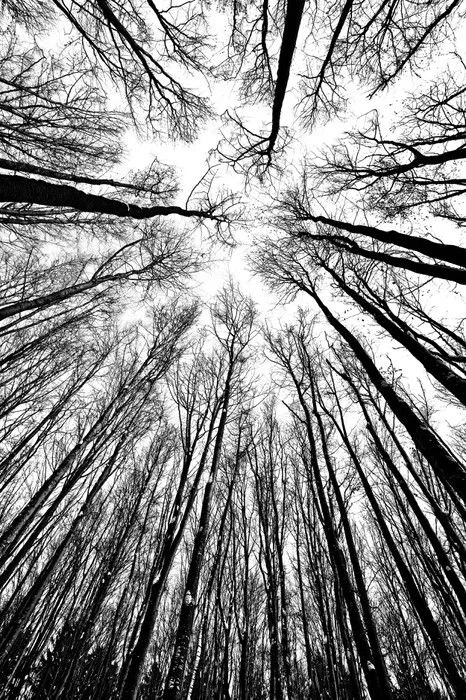 Kræver Cloud Computing en god regnjakke? 