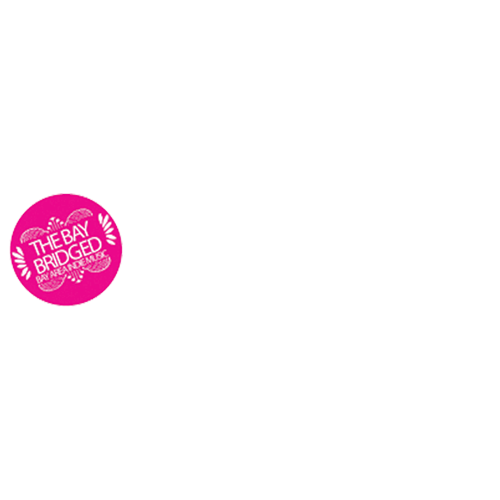 the bay bridged sq logo white.png
