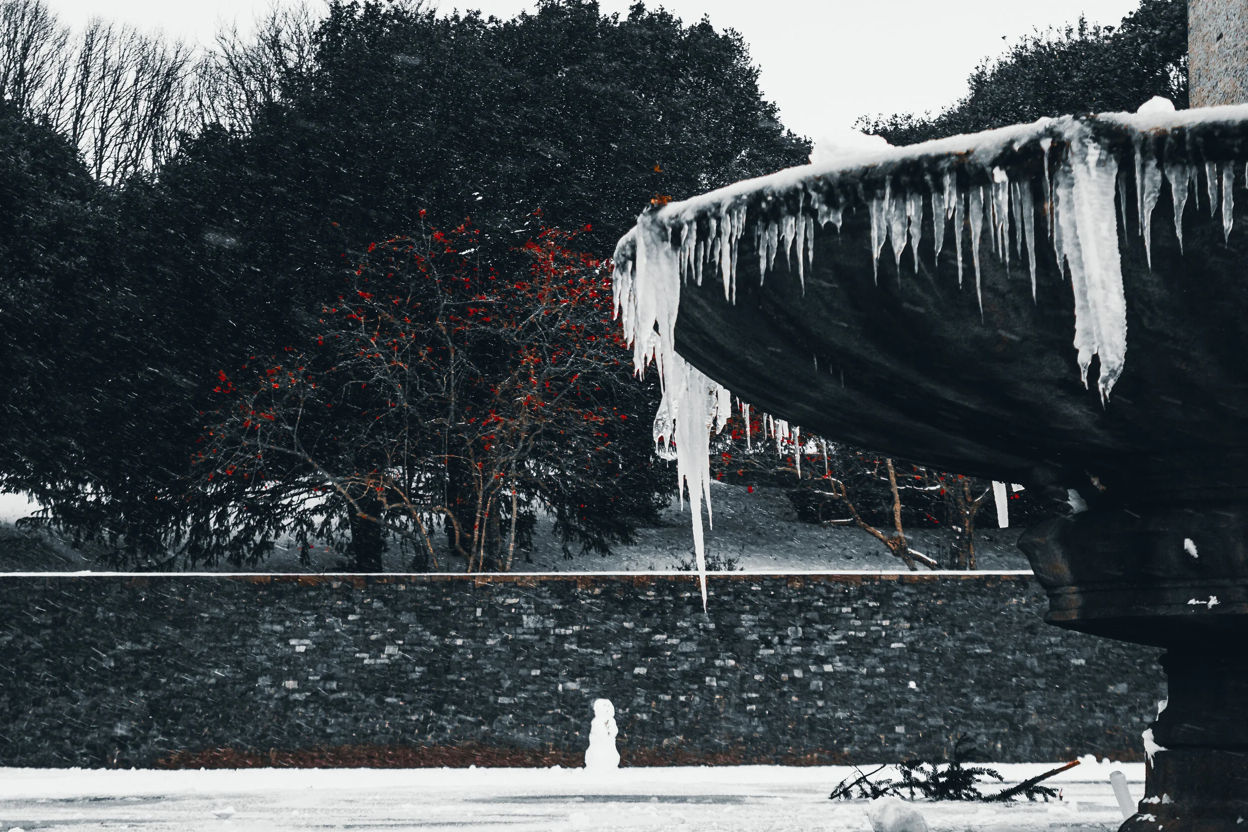 Snow-08.jpg
