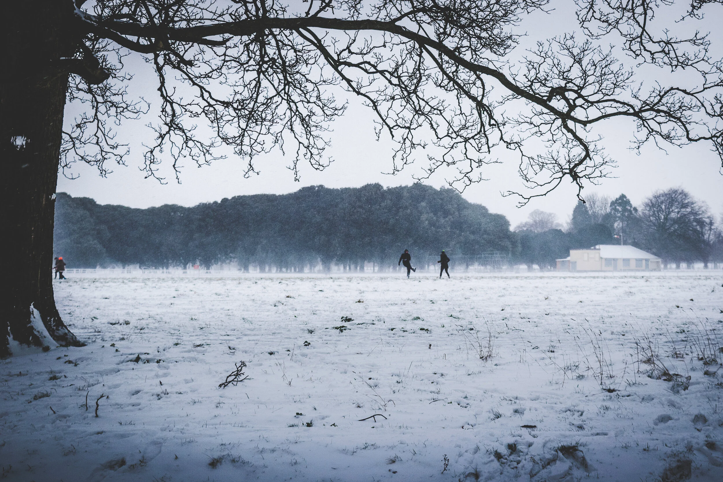 Snow-12.jpg