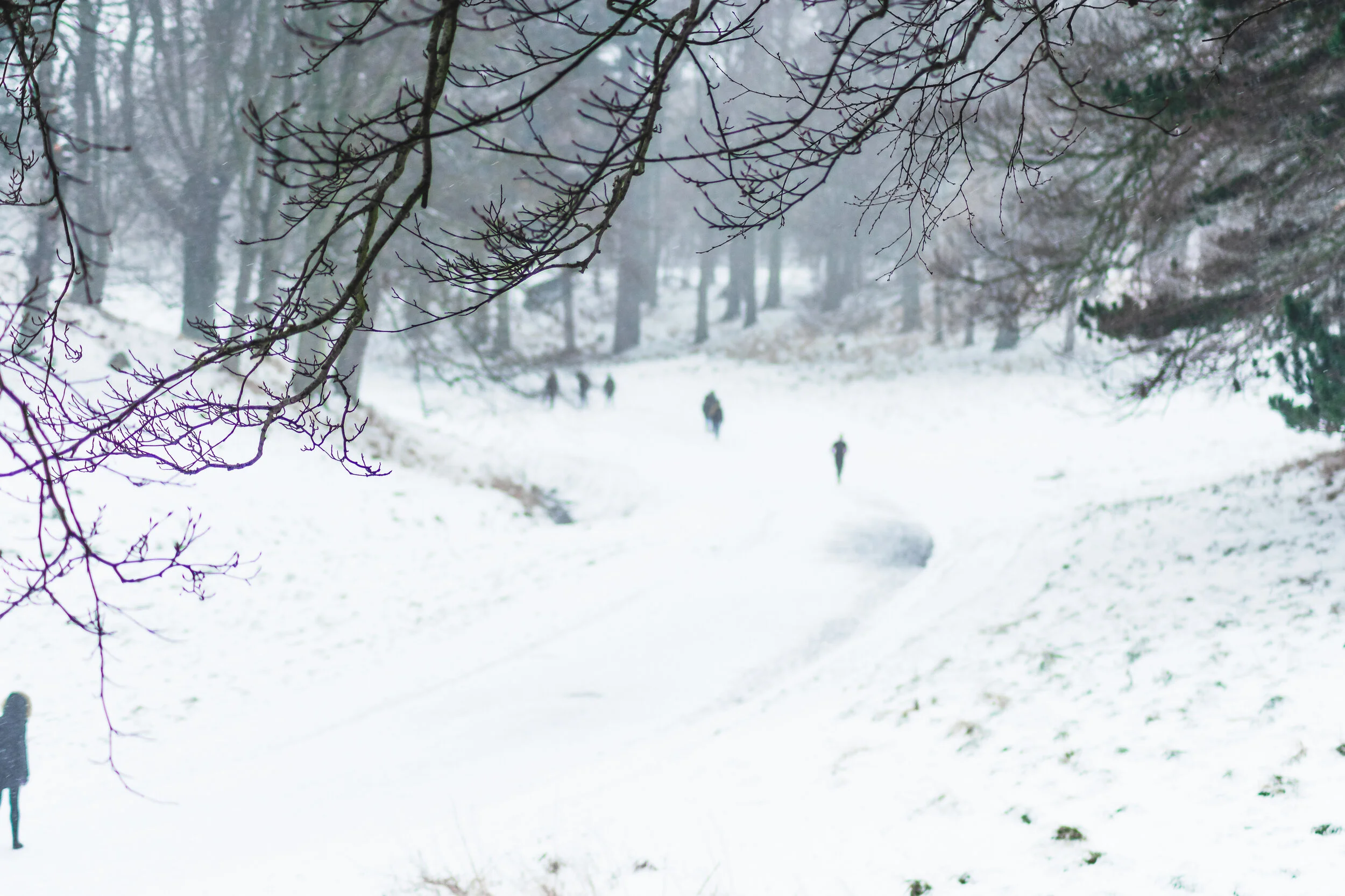 Snow-13.jpg