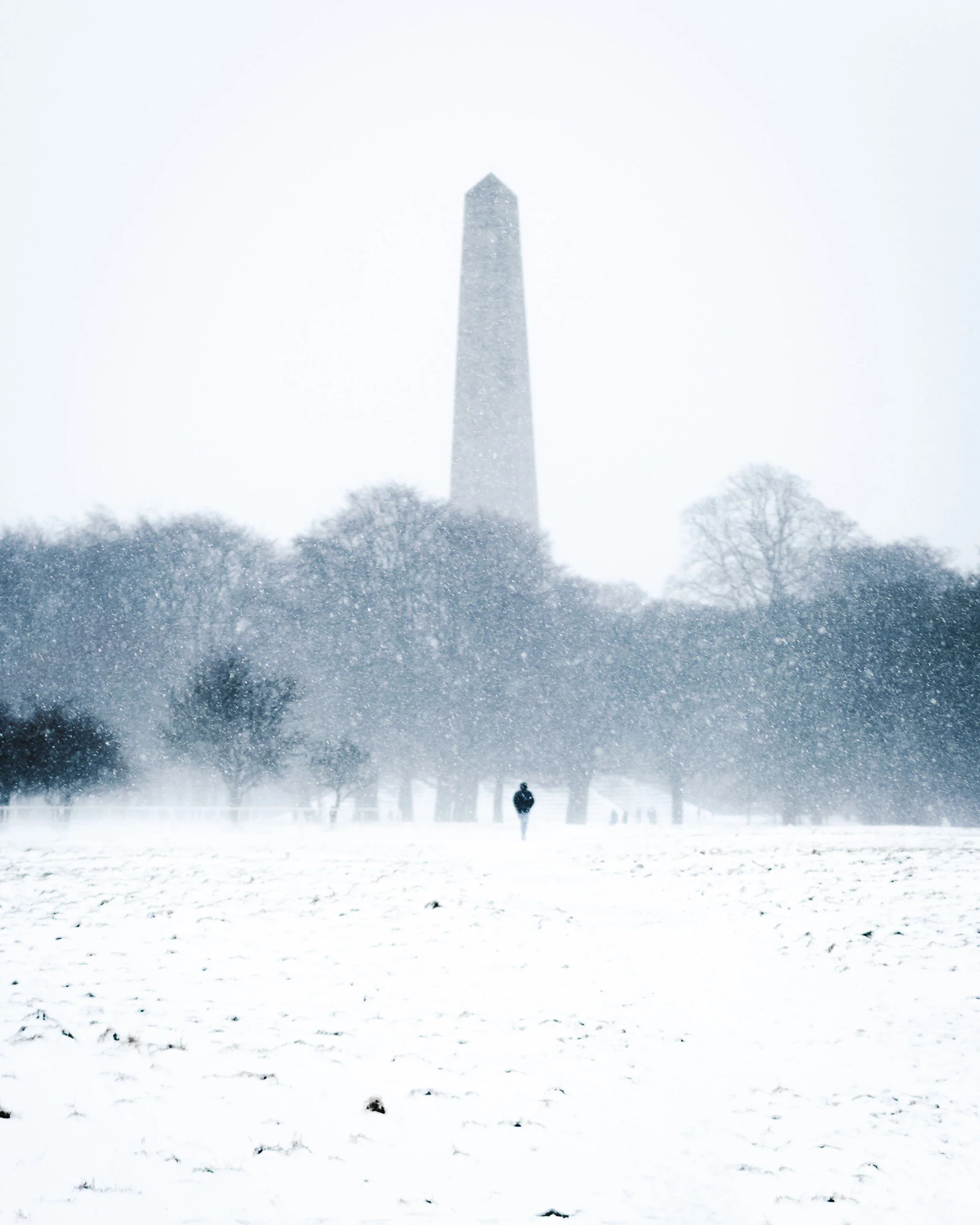 Snow-14.jpg