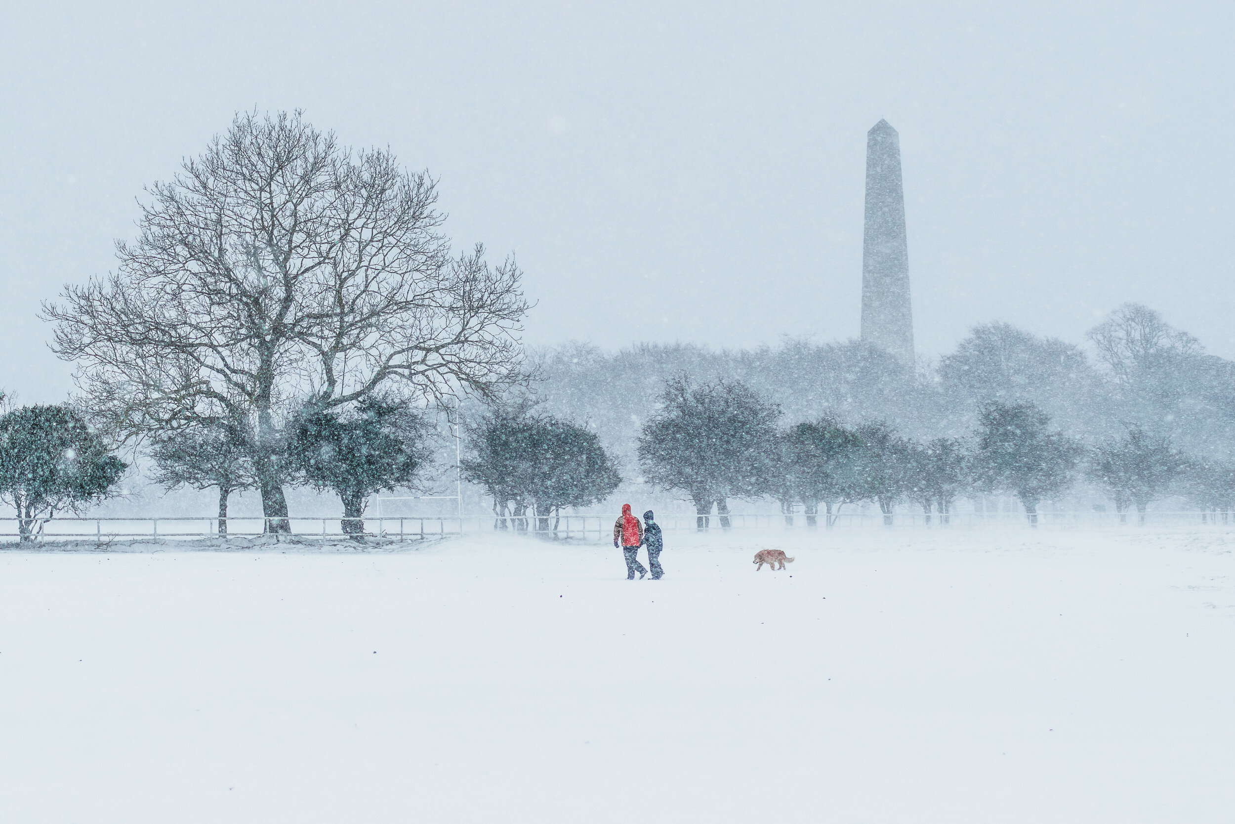 Snow-13-2.jpg