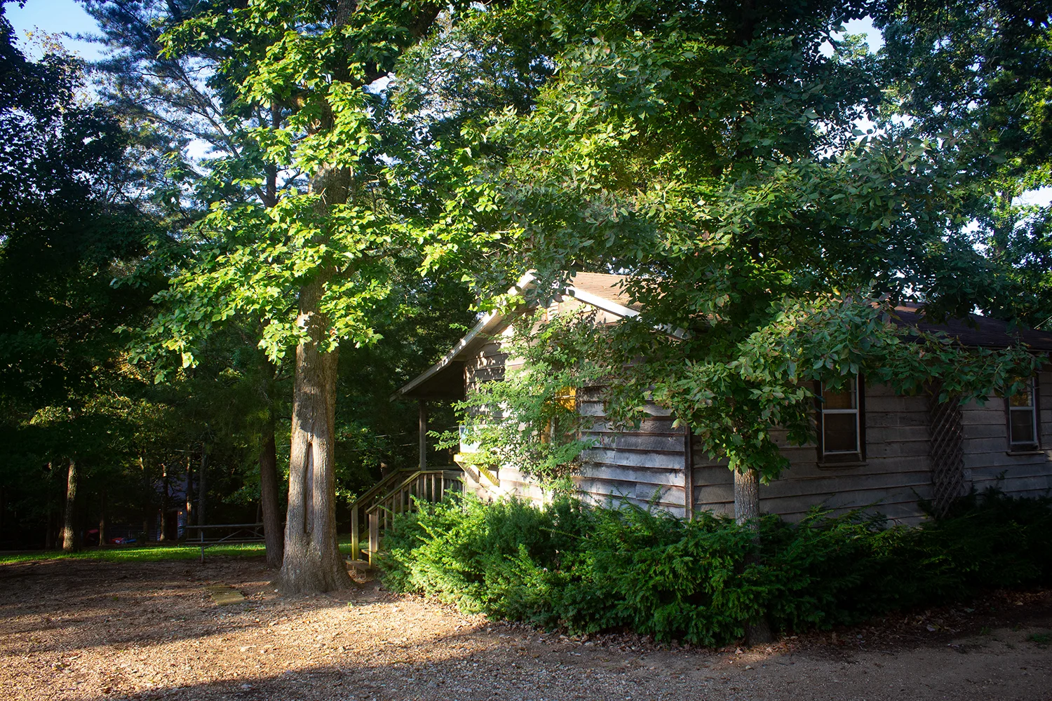 No 8 Ext2 2019.jpg