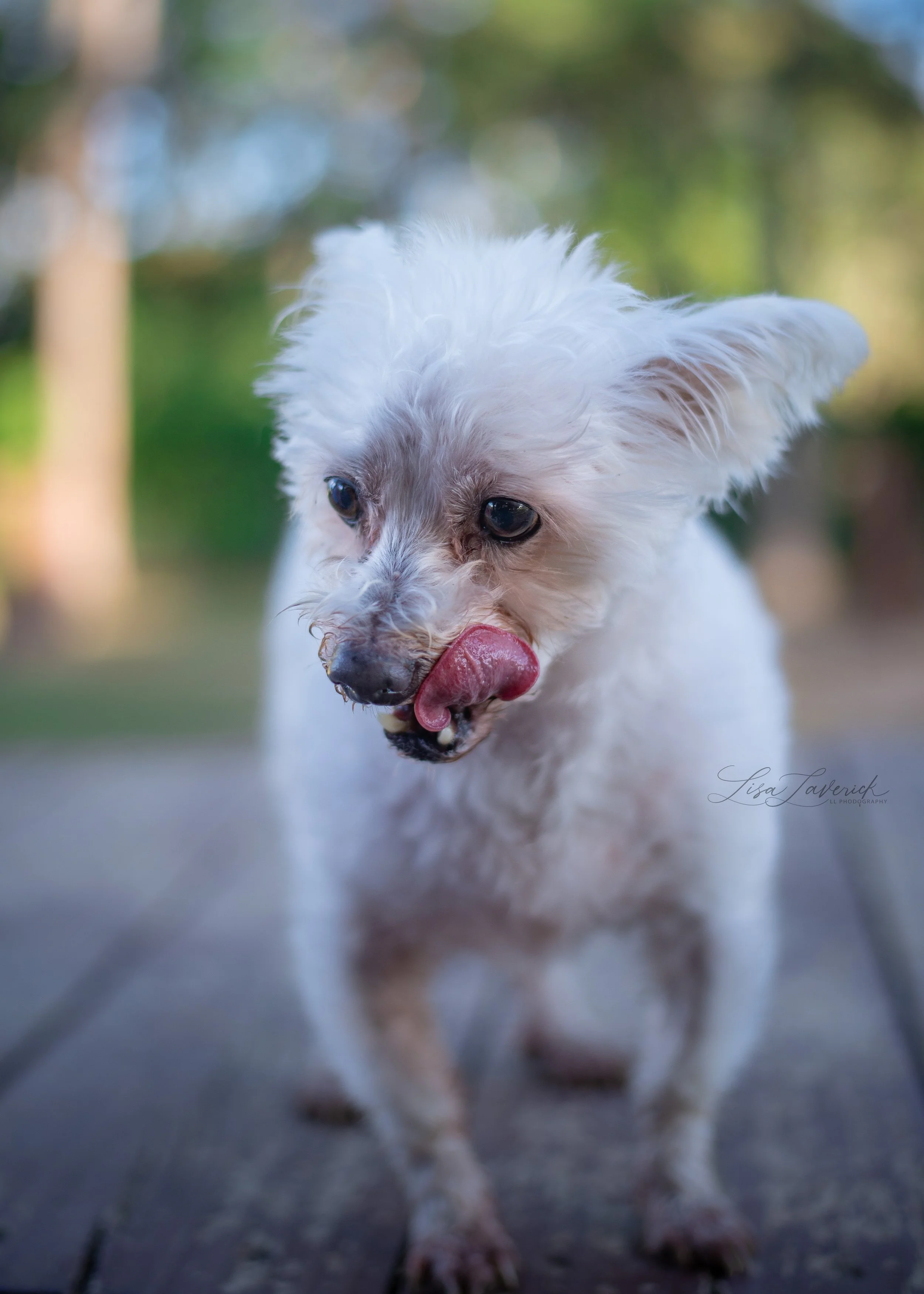 DSC_7616.jpg