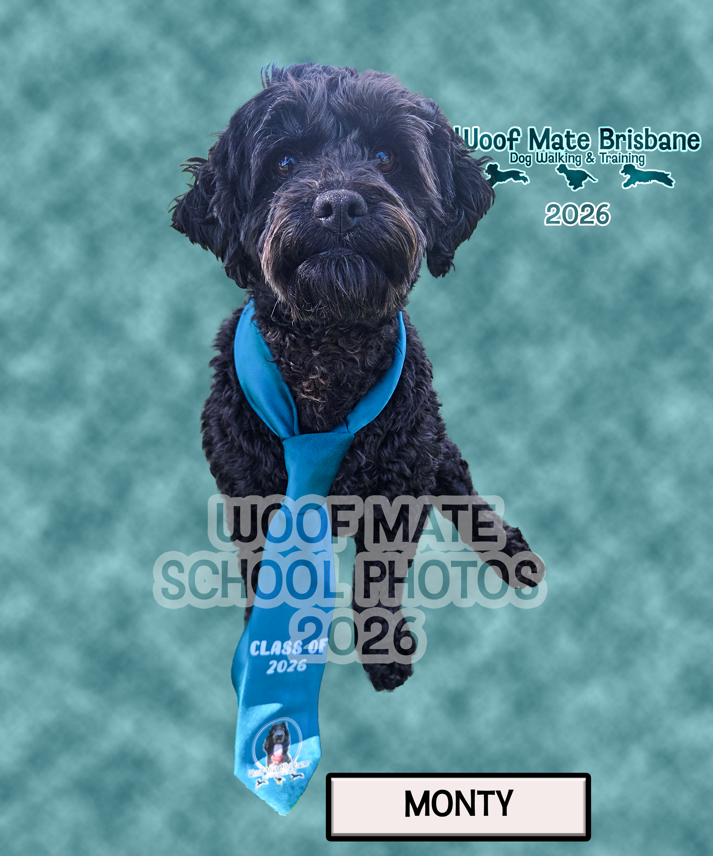 Monty(2).png