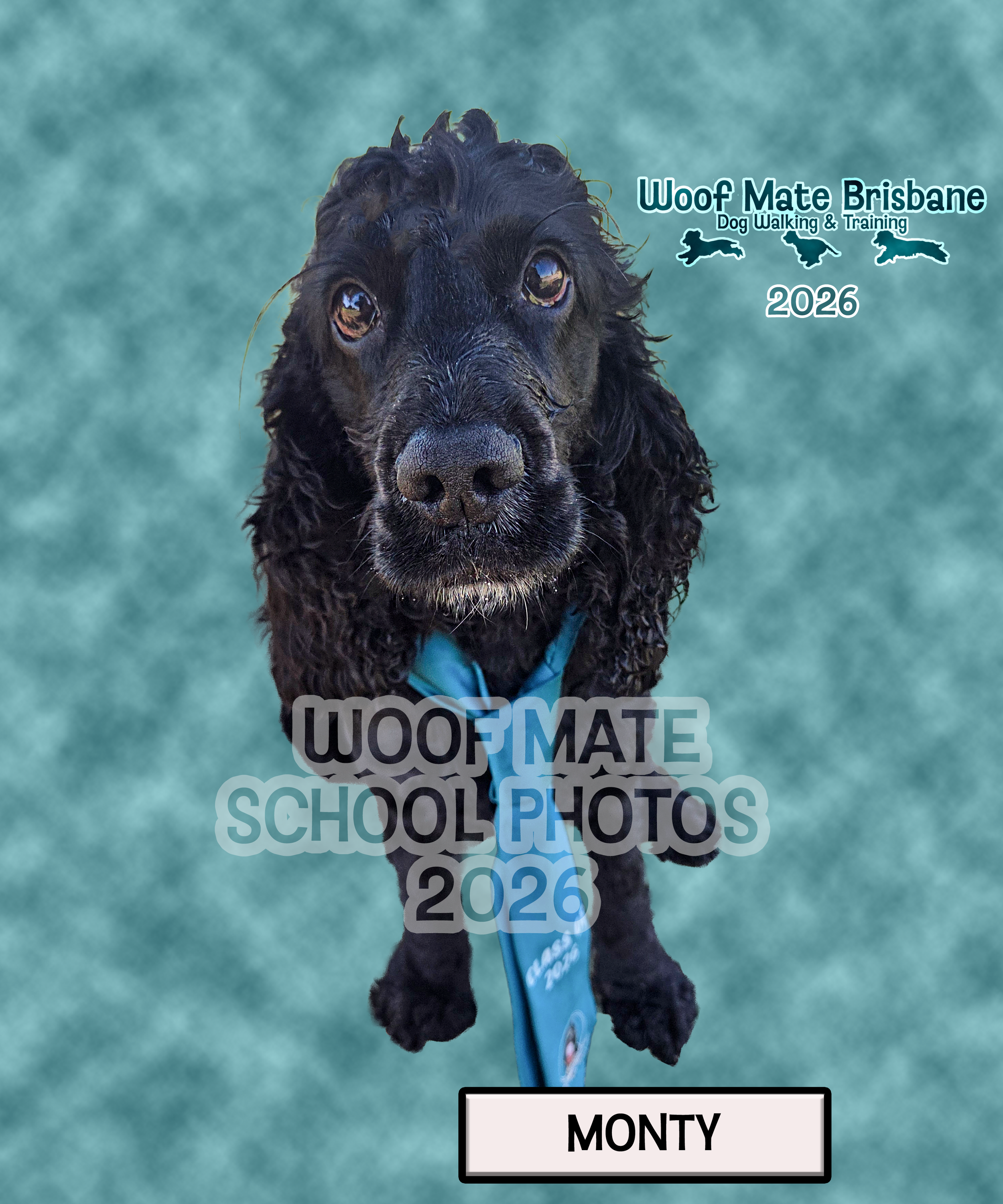 Monty(3).png