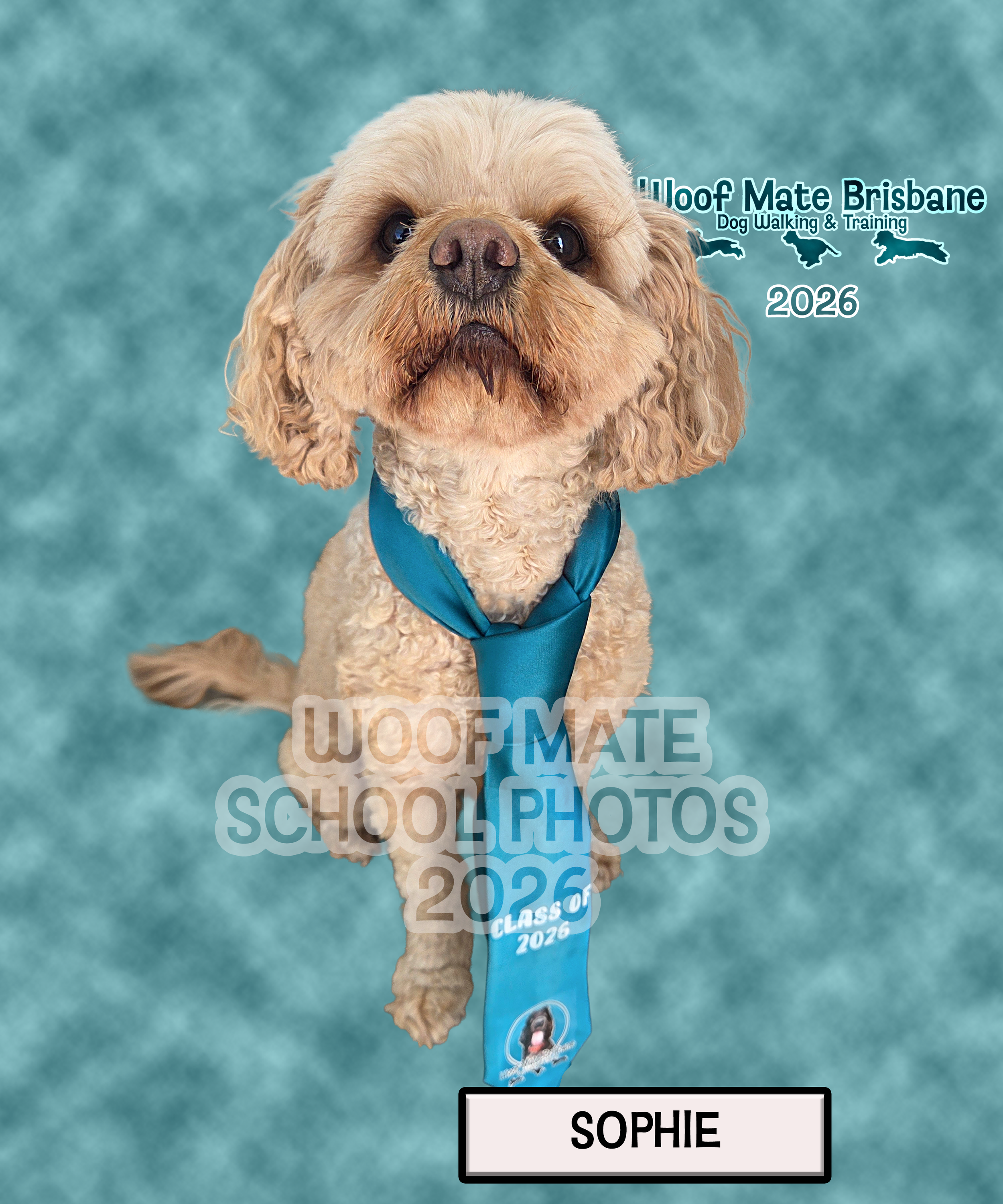 Sophie.png