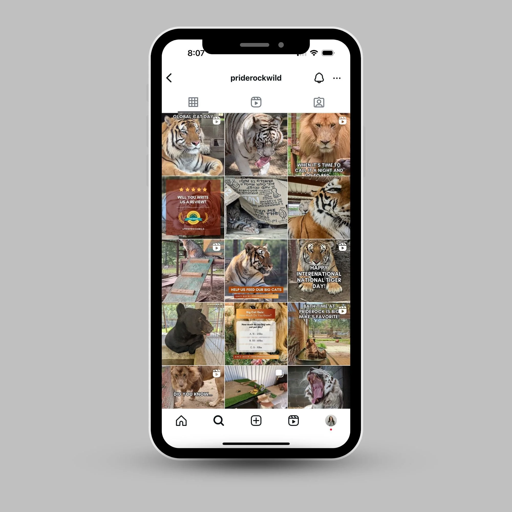 Website Mockups(1) copy.jpg