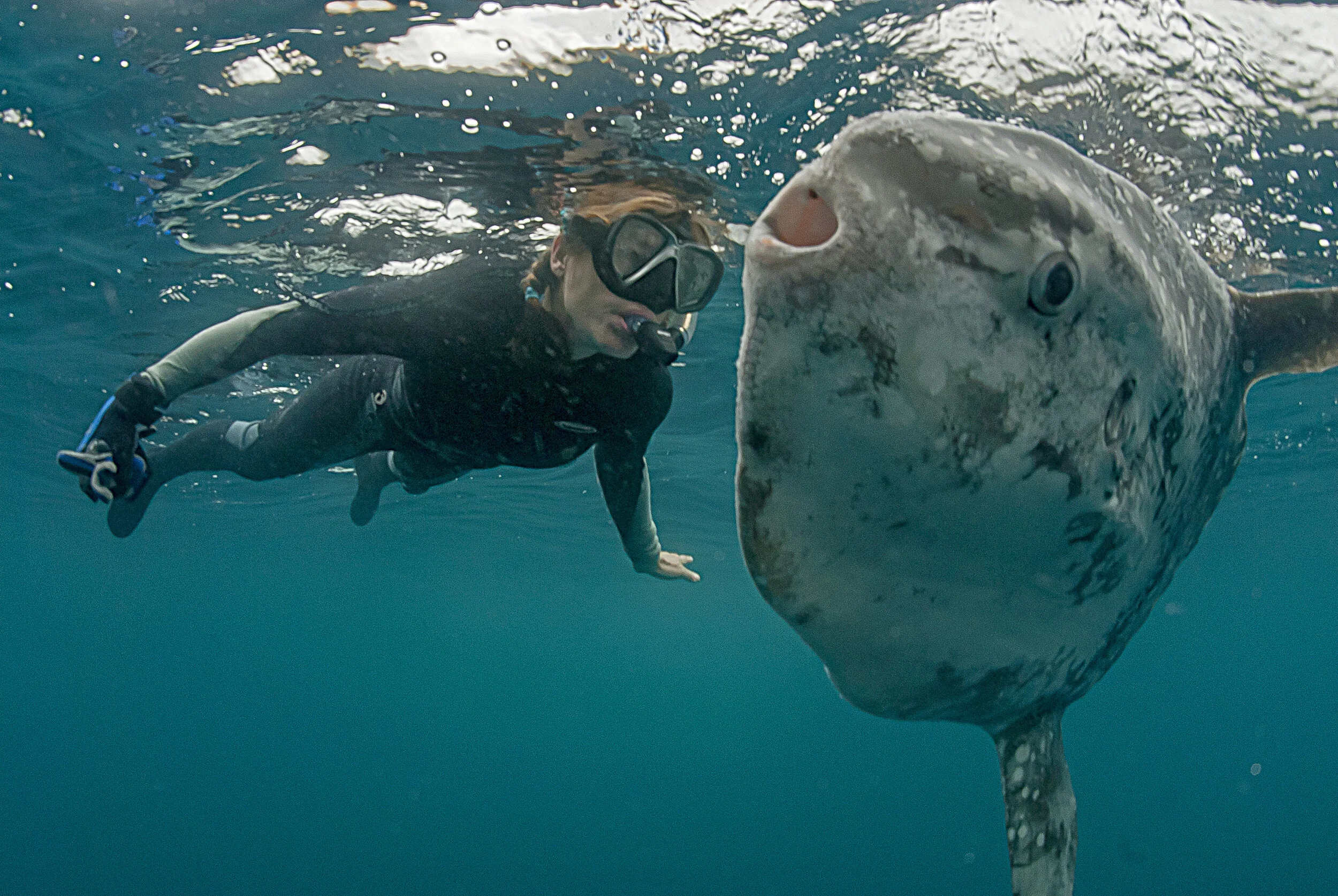 JAMES BALOG THE ARTIST AS ENVIRONMENTAL VISIONARY — Exploration