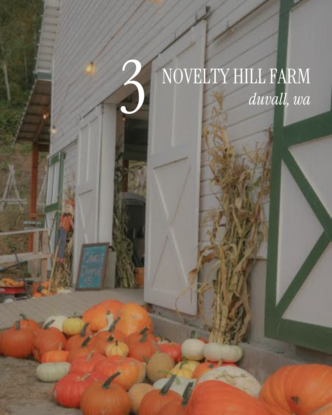 Pumpkin Patch Post - 4.PNG