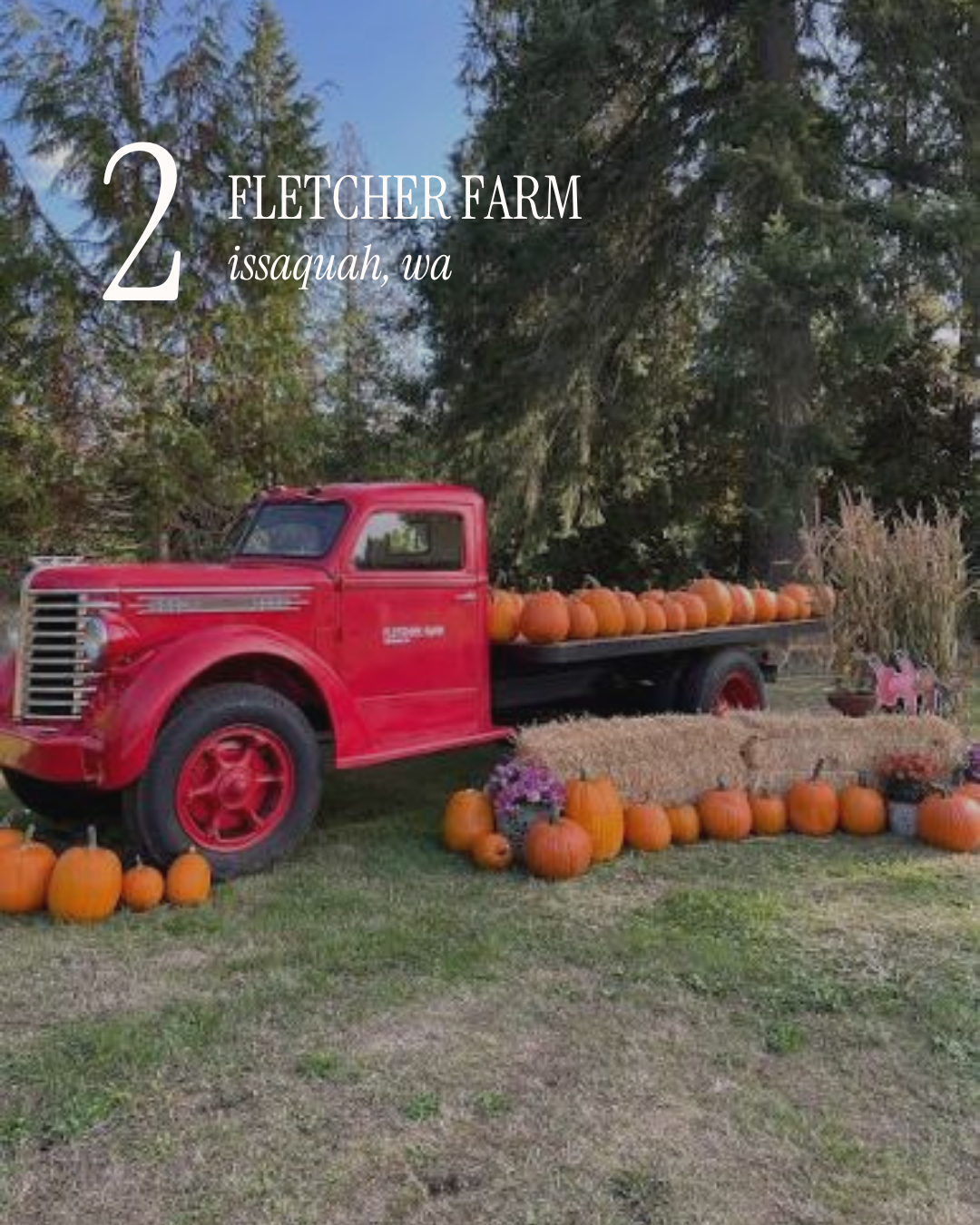Pumpkin Patch Post - 5.PNG