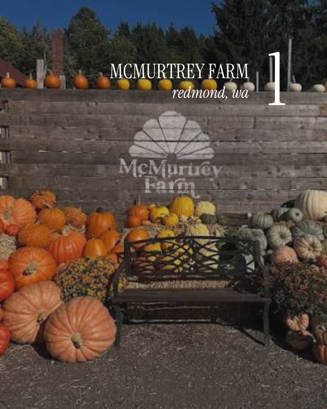 Pumpkin Patch Post - 6.PNG