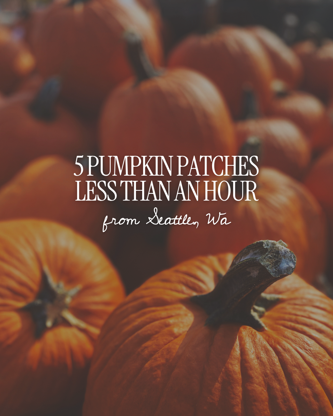 5 Pumpkin Patches Less Than An Hour Away