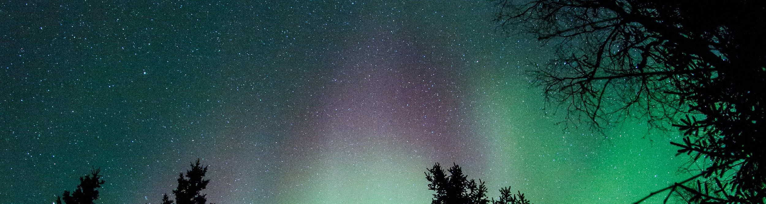 Myth and Magic banner.jpeg