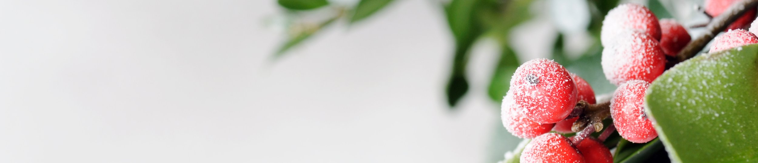 Christmas Concert 2017 banner image .jpeg