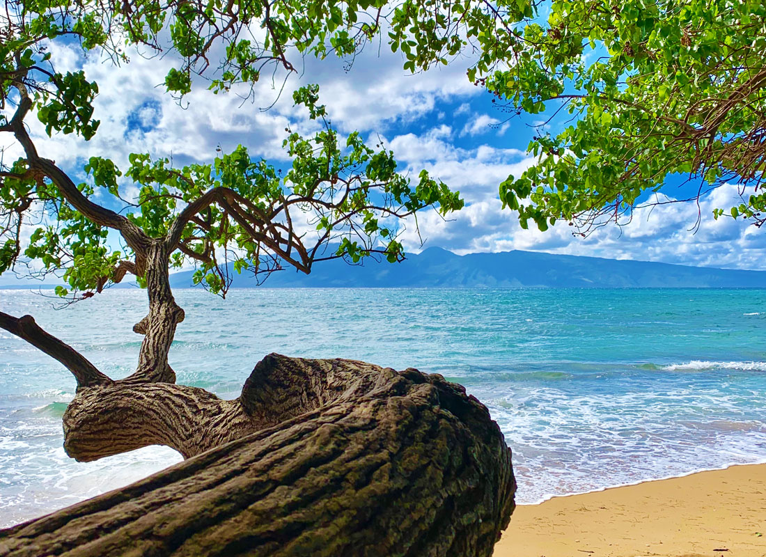 IMG_7368 horizontal for web.jpg