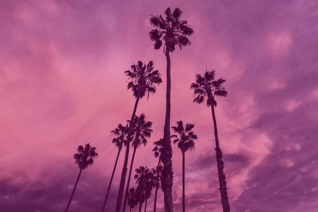 clouds-nature-palms-6741-pink-for-web.jpg