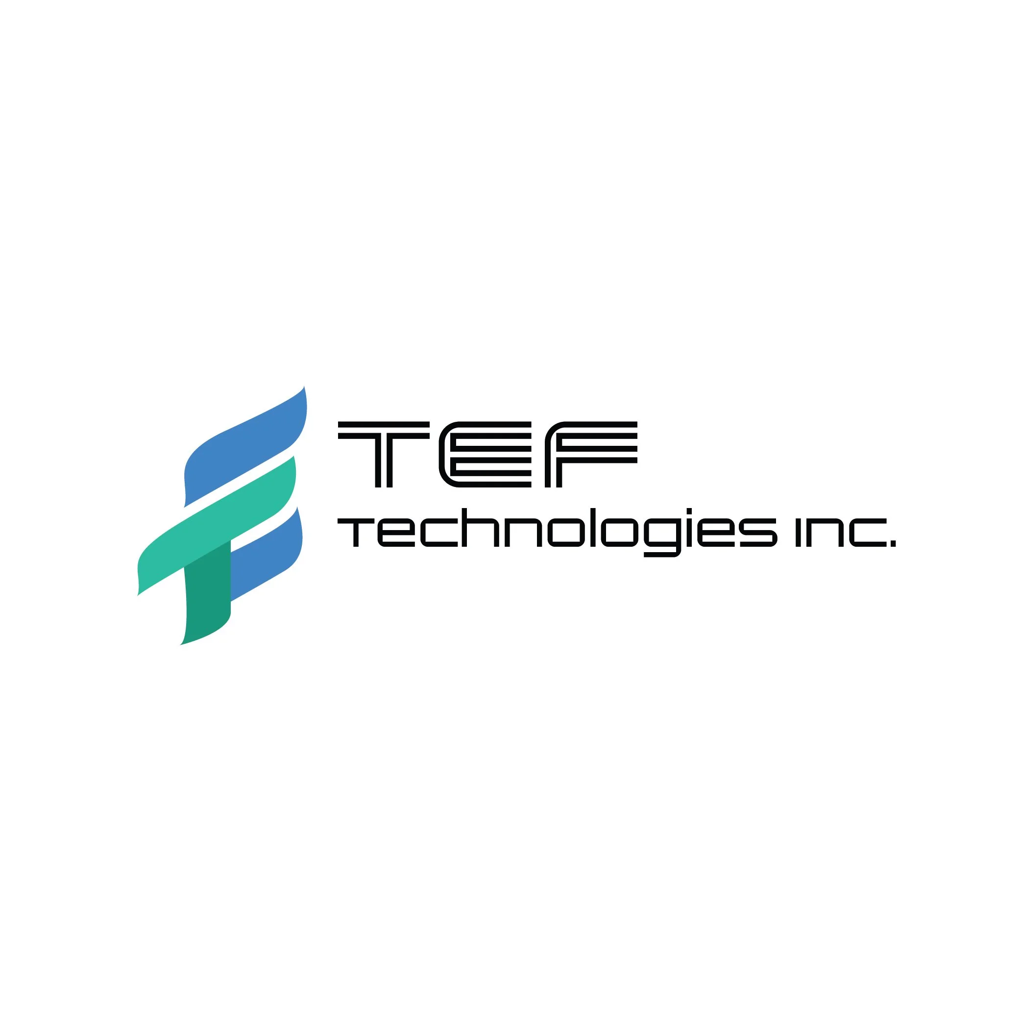 1-Logo-TEF.jpg