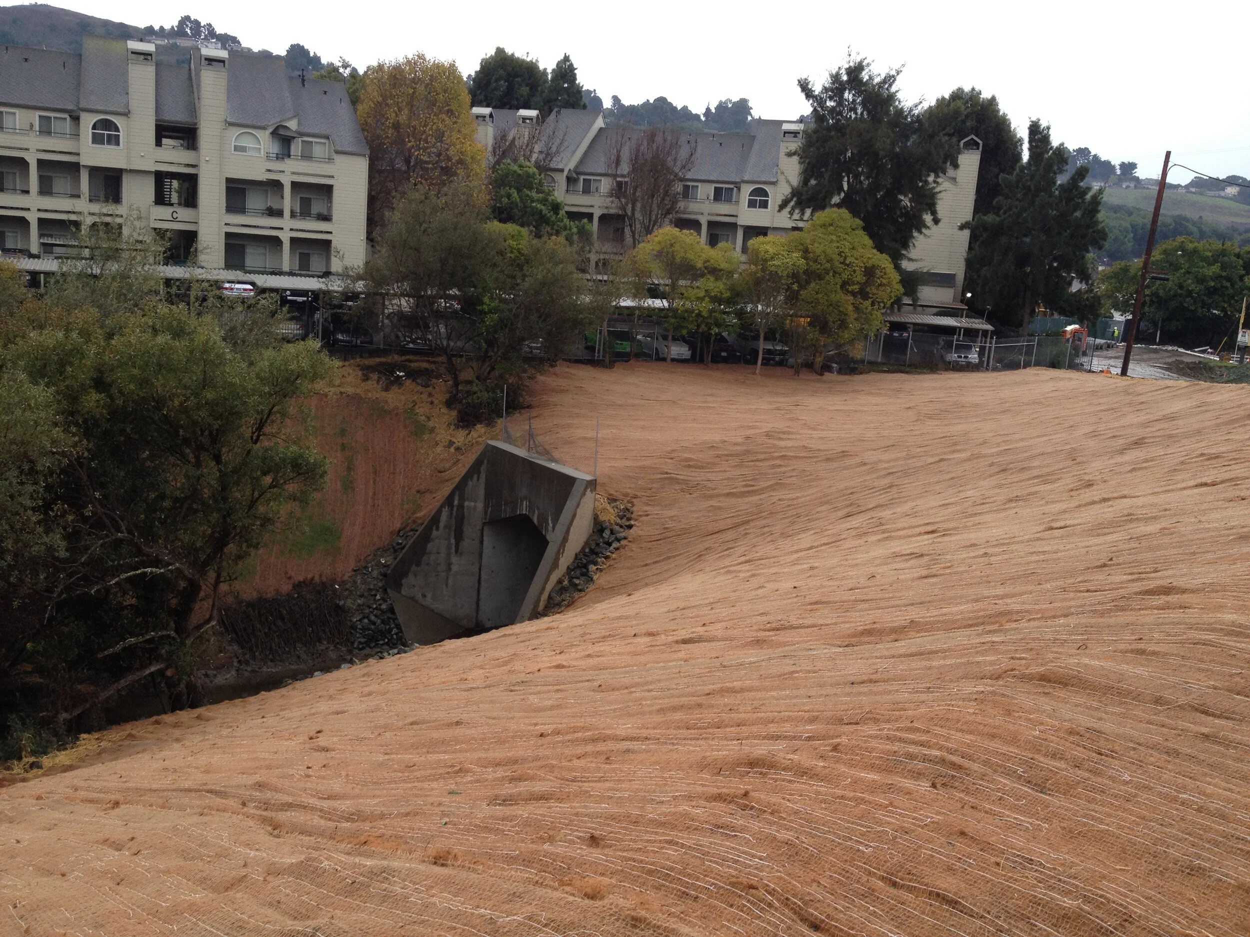 HOME PAGE PHOTO 2 - SW.JPG