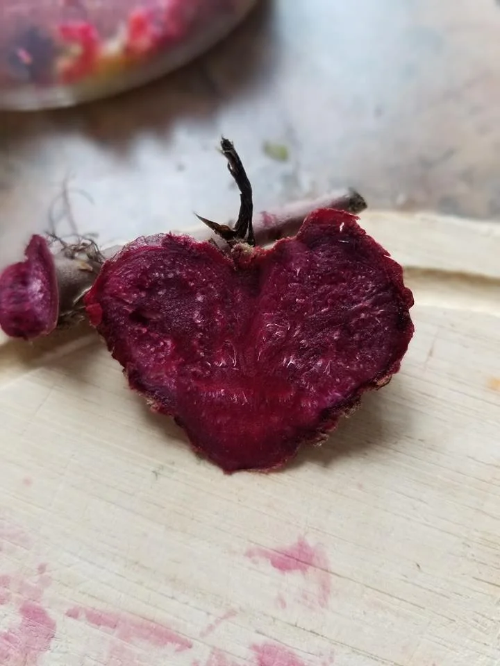 betterave en coeur.jpg