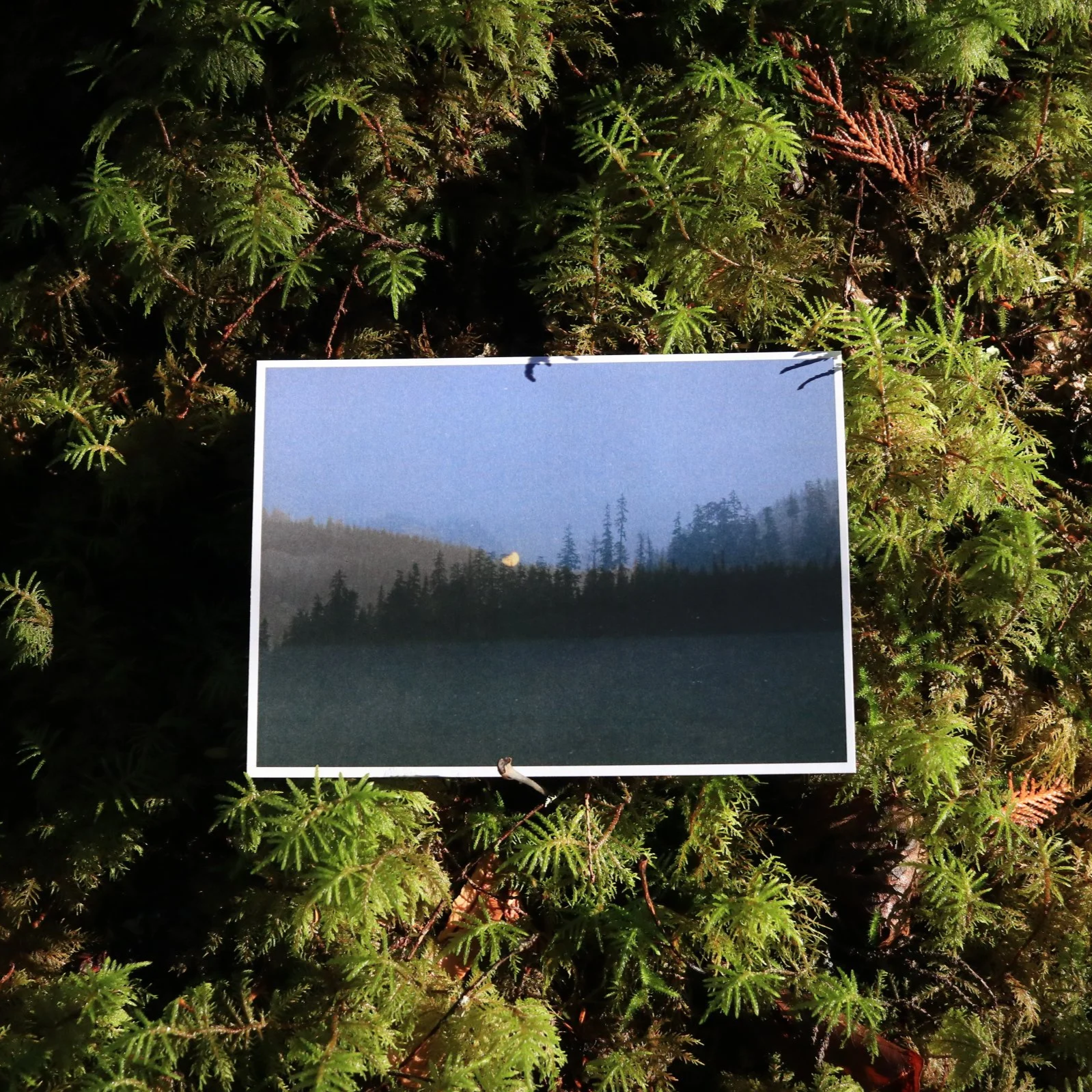 Redsand Lake